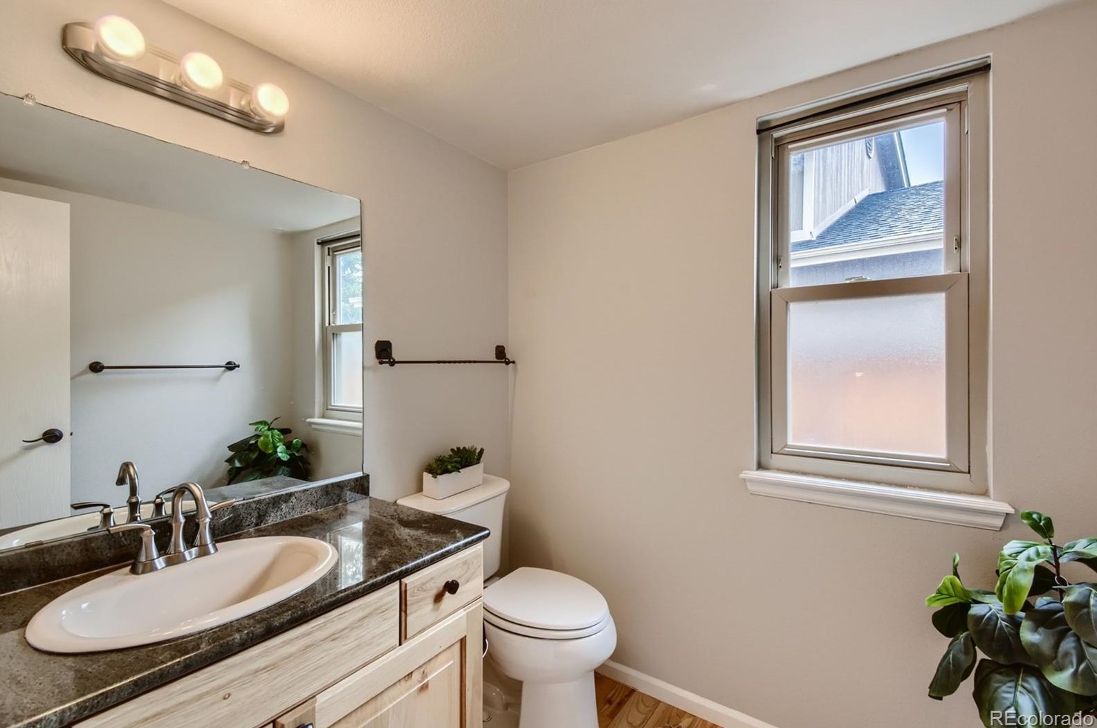 321 Mtn Cloud Cir, Littleton CO 80126-2213 exterior