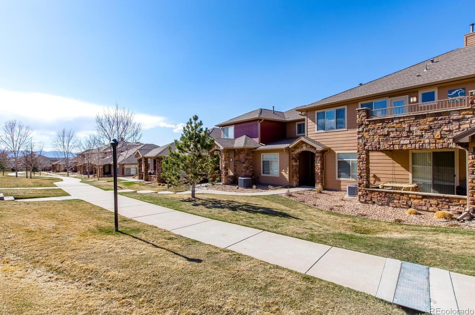 8559 Gold Peak Dr, Littleton CO 80130-7204 exterior