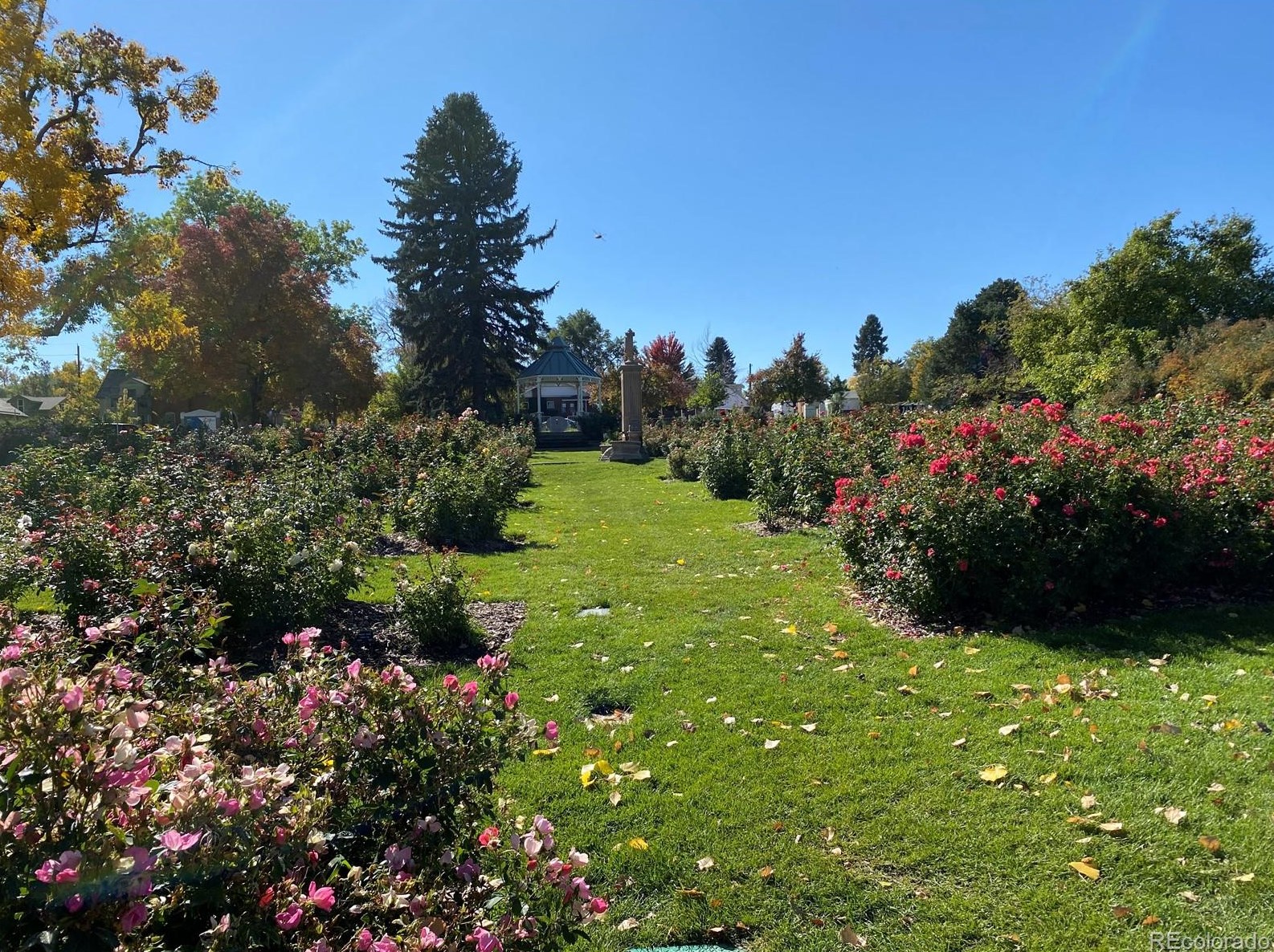 633 Longview Ave, Littleton CO 80120-3433 exterior