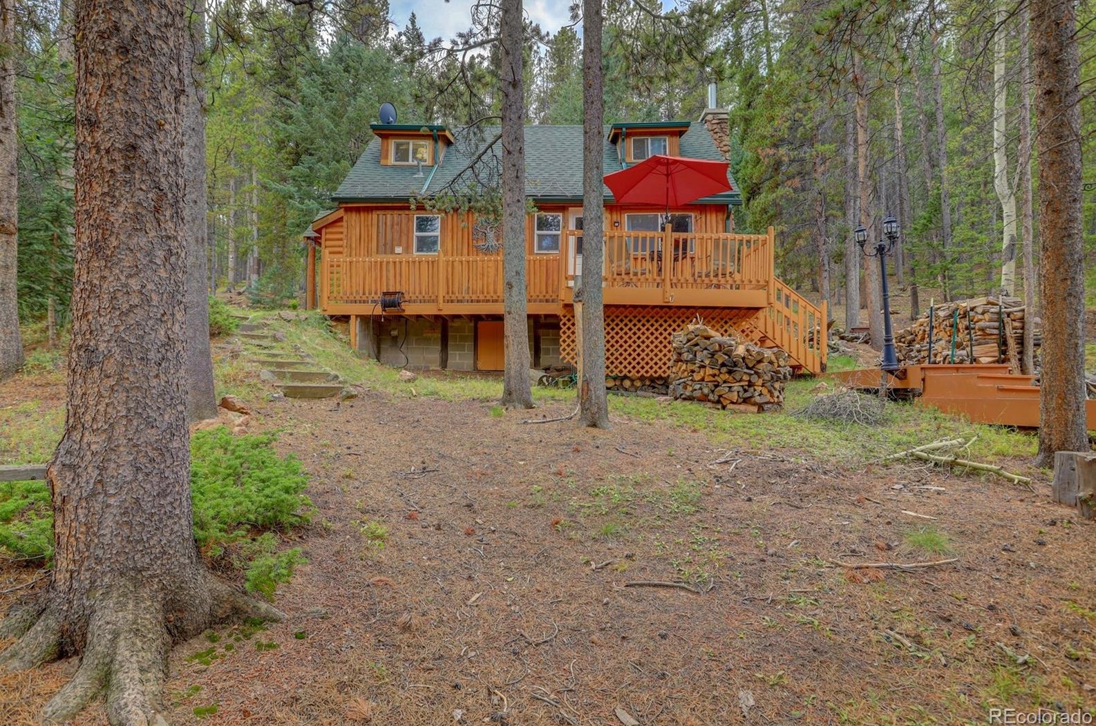 9021 Rex Ln, Conifer, CO 80433