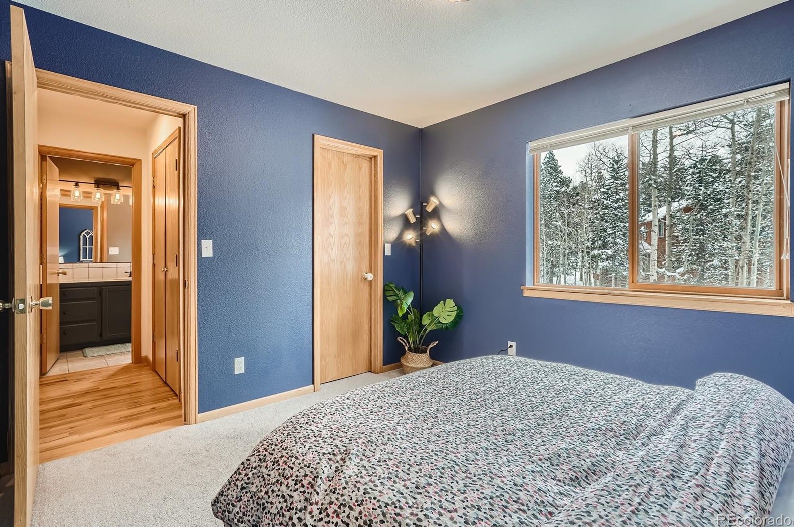 902 Karlann Dr, Arvada CO  80422-4067 exterior