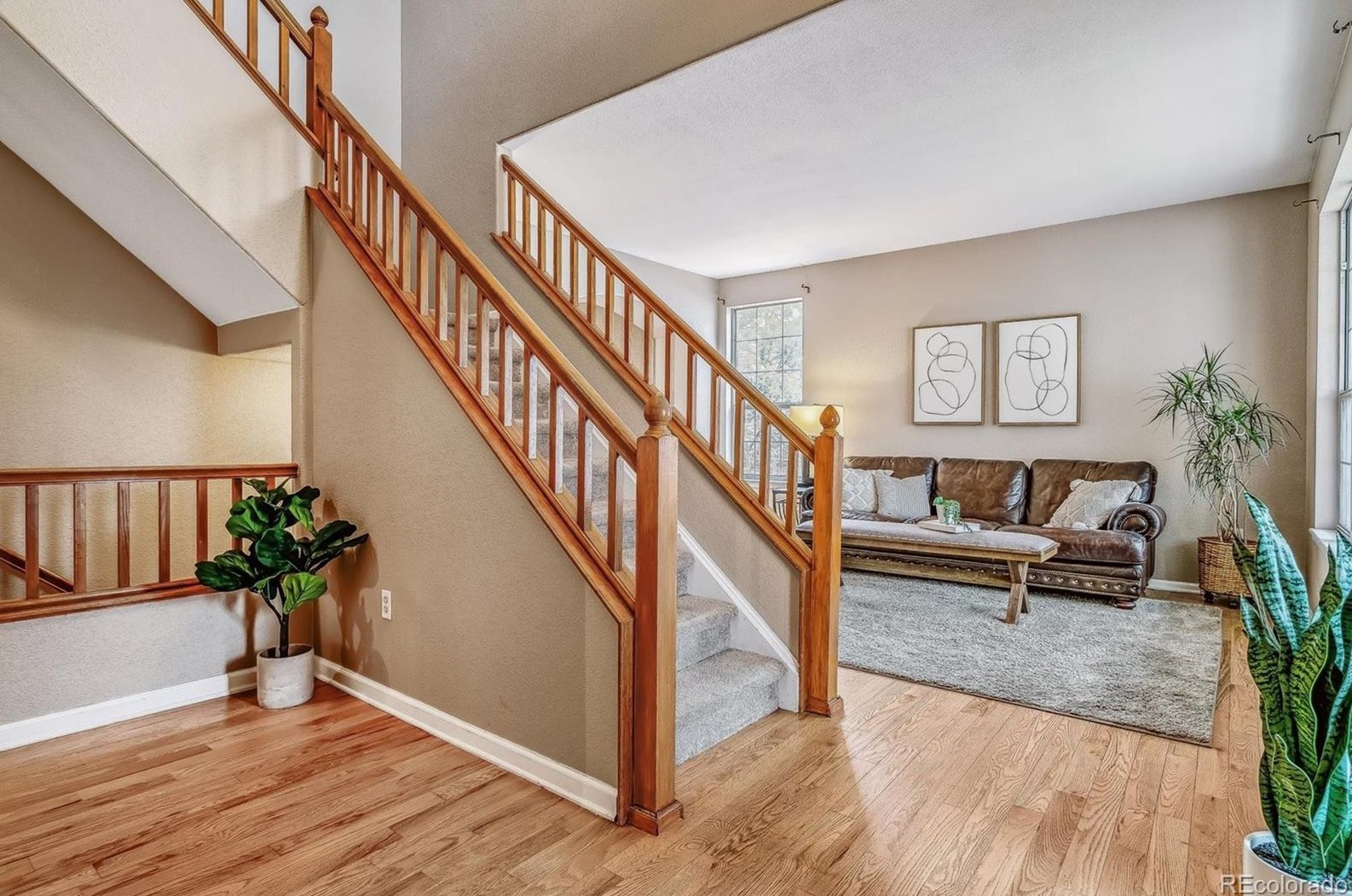 6657 Lynx Cv, Littleton, CO 80124-9548