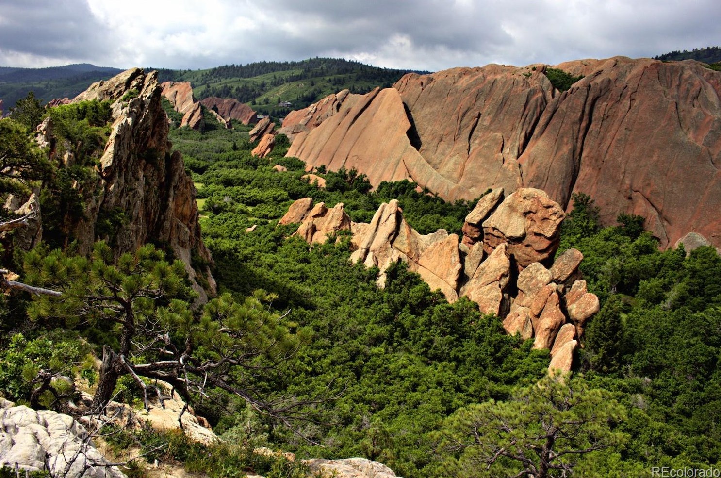 9761 Crystal Lk Dr, Littleton CO 80125 exterior