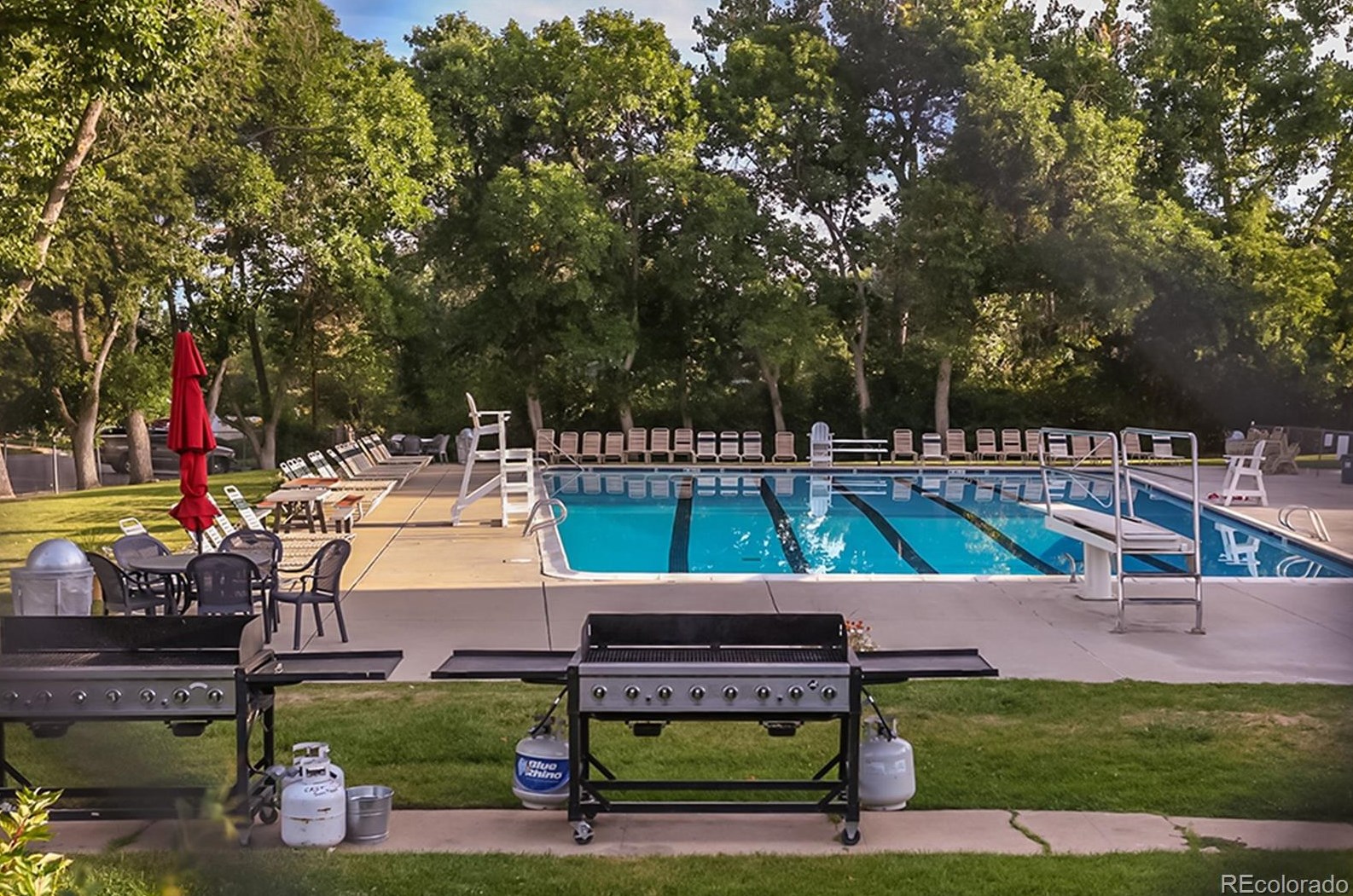 7097 Madison Way, Littleton CO 80122-2038 exterior