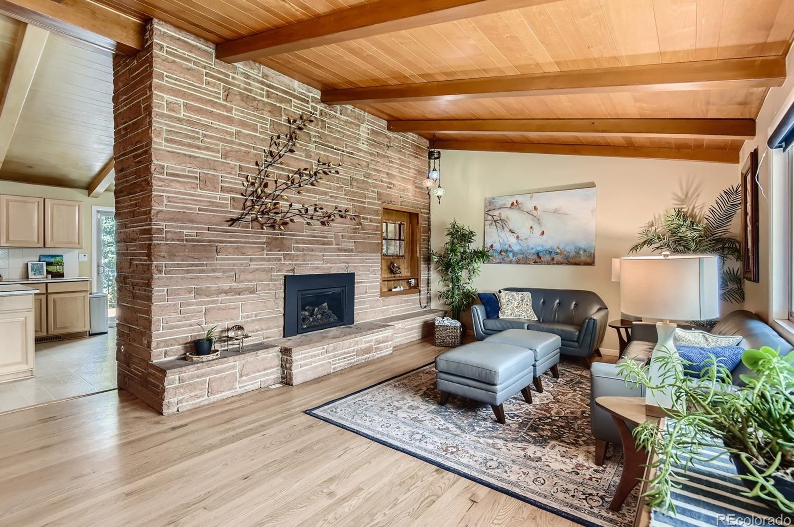 245 Delaware Cir, Littleton CO 80120-4224 exterior