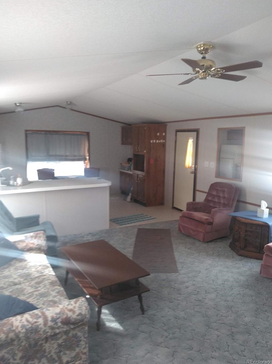 30620 Us Highway 24, Buena Vista CO 81211-8798 exterior