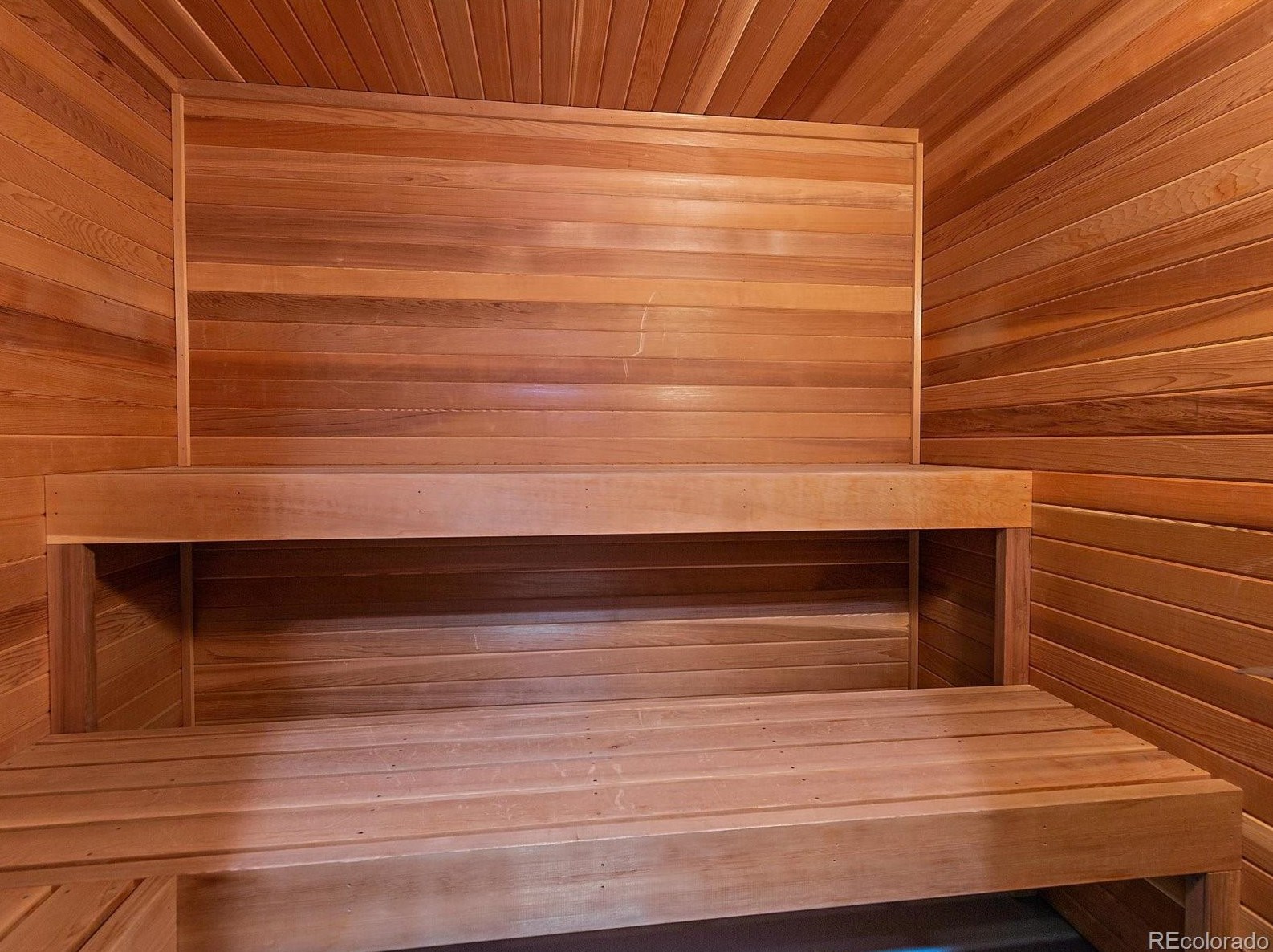 6571 Calhoun Pl, Littleton CO 80123-3520 exterior