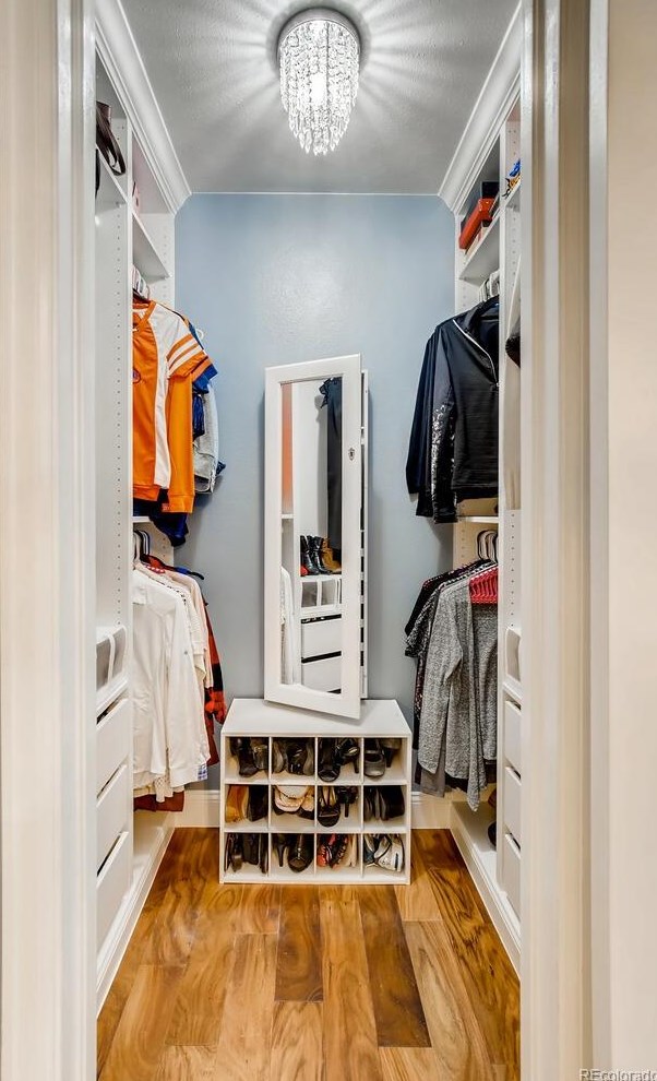 9304 Miles Dr, Littleton CO 80124-3092 exterior