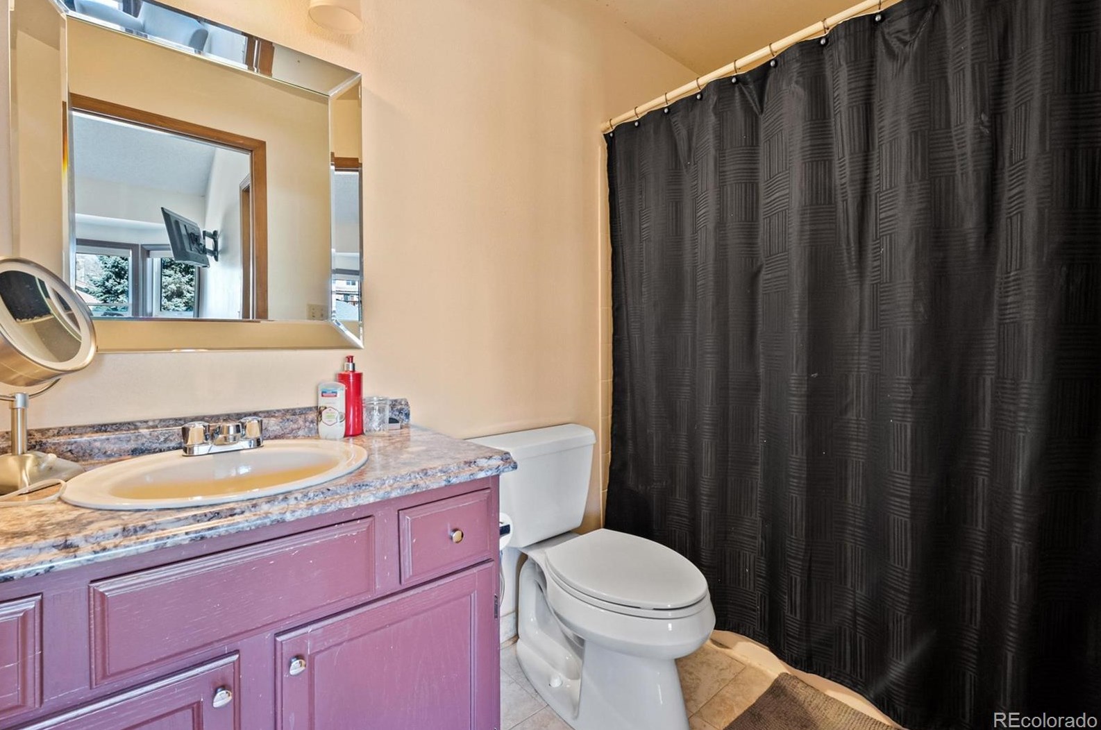 10160 Telluride St, Littleton CO  80125-8939 exterior