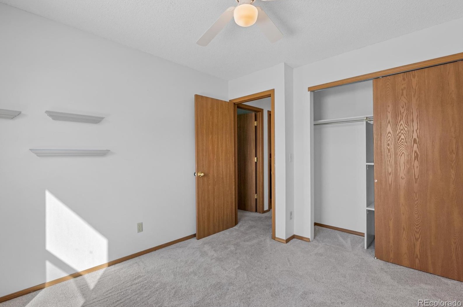 10160 Telluride St, Littleton CO  80125-8939 exterior