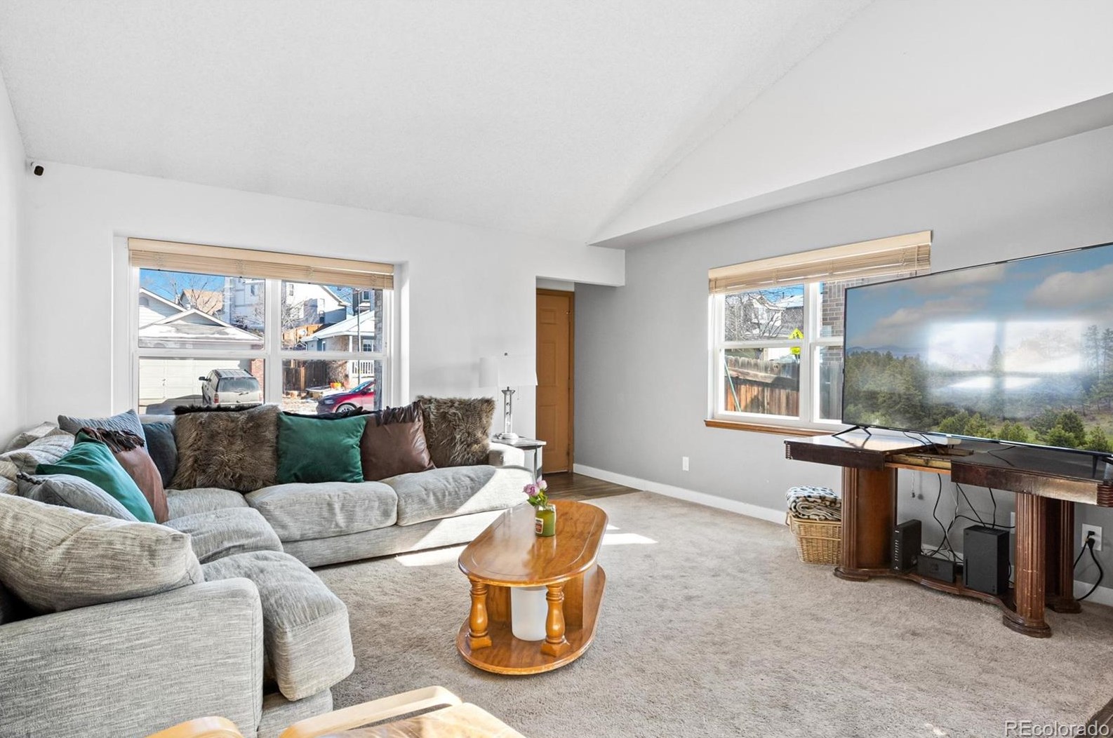 10160 Telluride St, Littleton CO  80125-8939 exterior