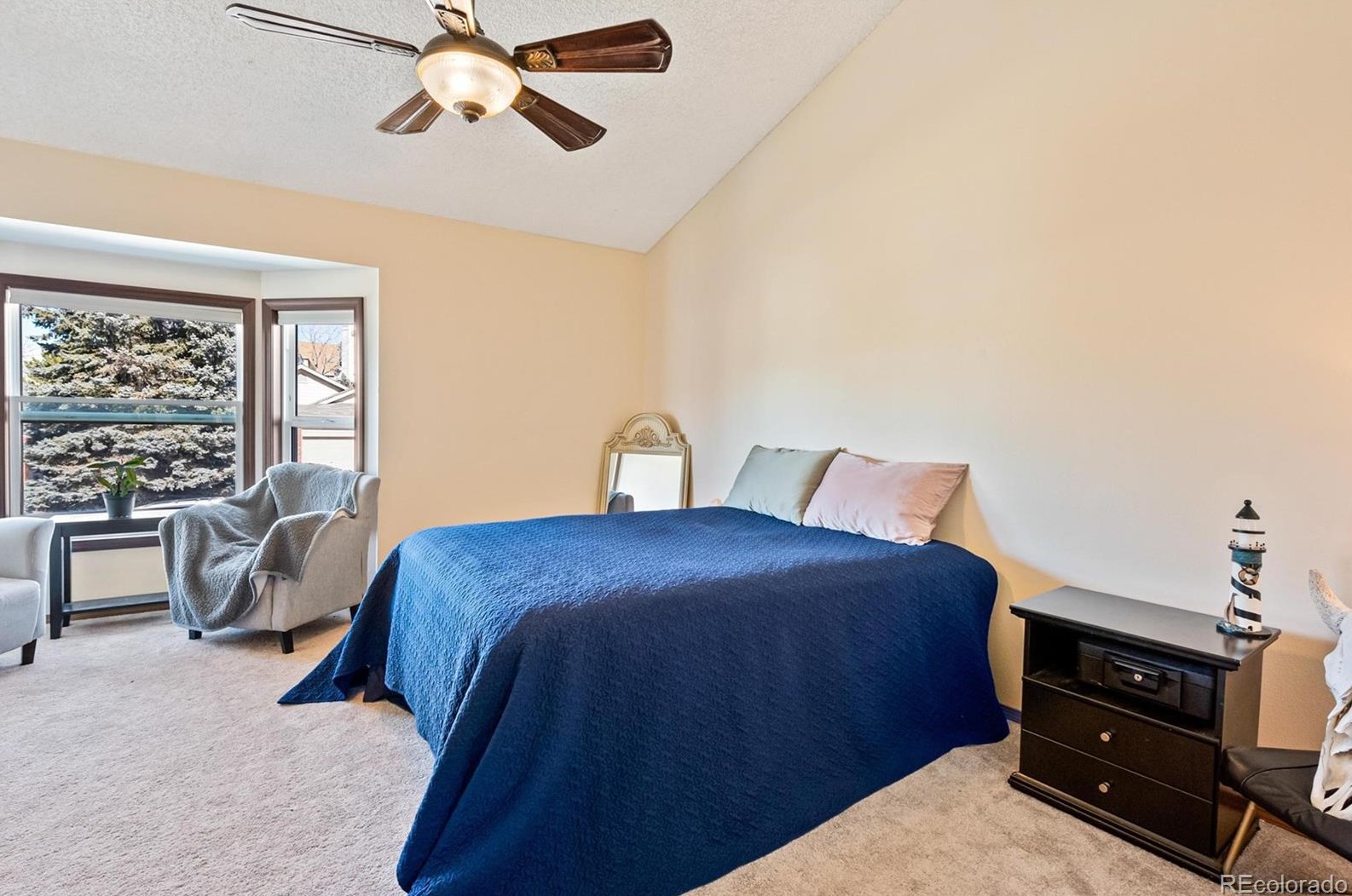 10160 Telluride St, Littleton CO  80125-8939 exterior