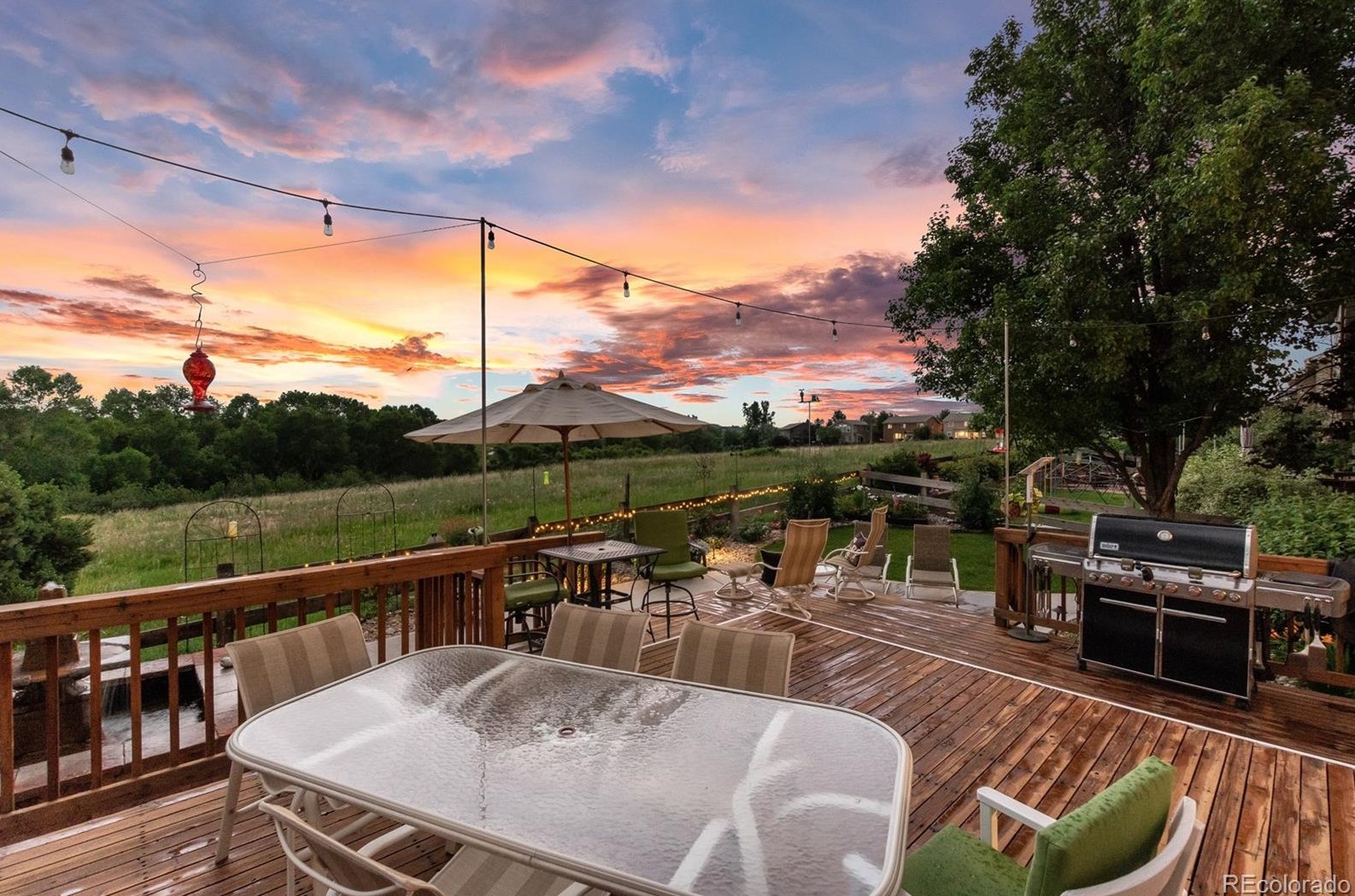 10039 Blackbird Cir, Littleton CO  80130-3871 exterior