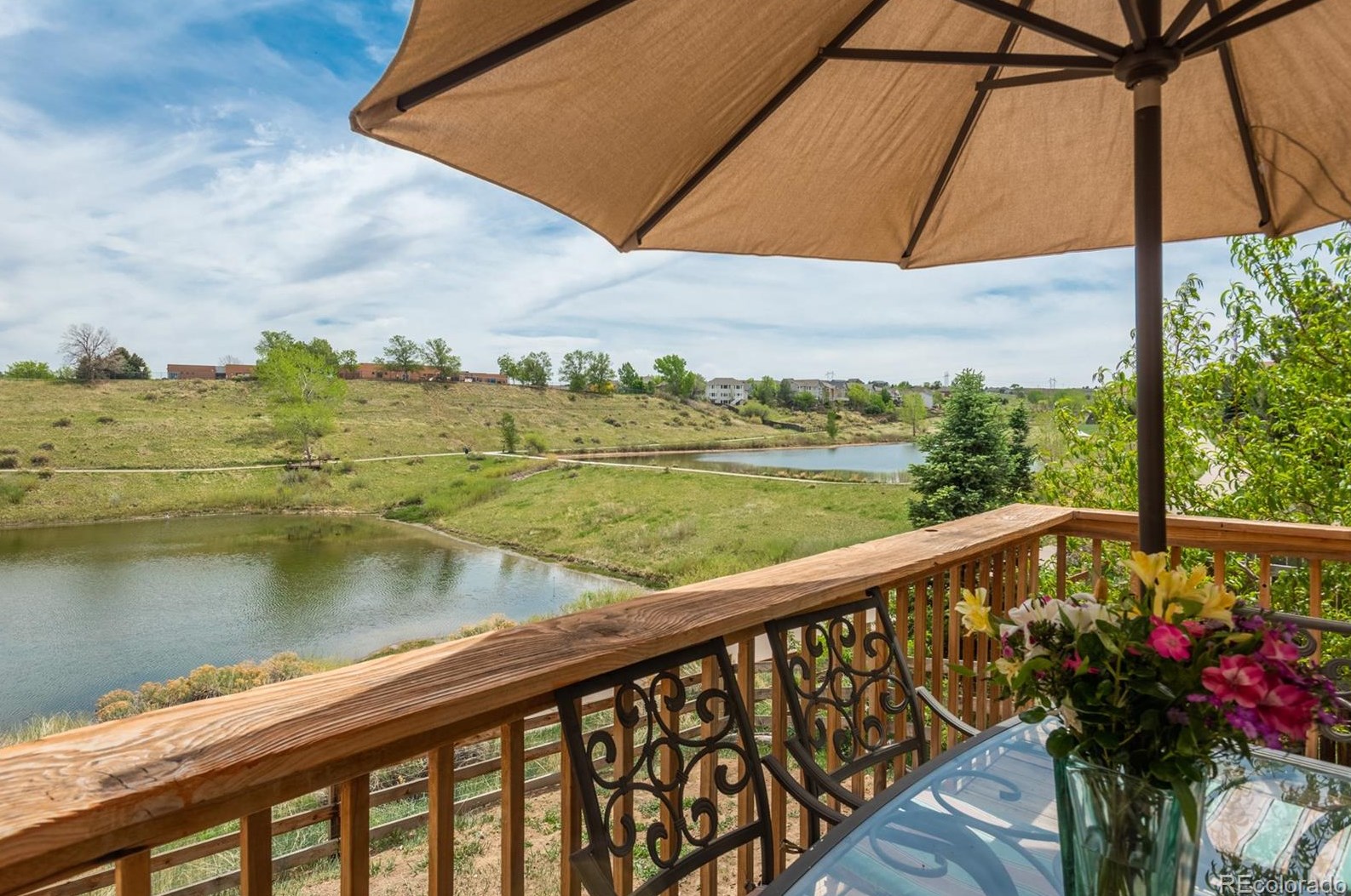 7990 Canvasback Ct, Littleton CO 80125-8997 exterior