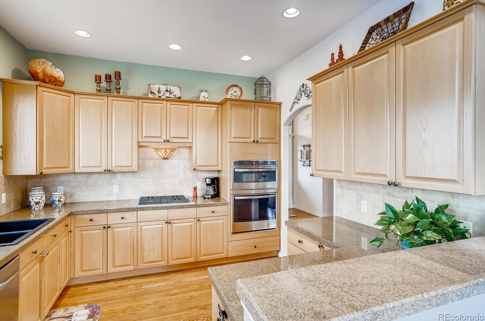 6816 Raspberry Run, Littleton CO 80125-8306 exterior