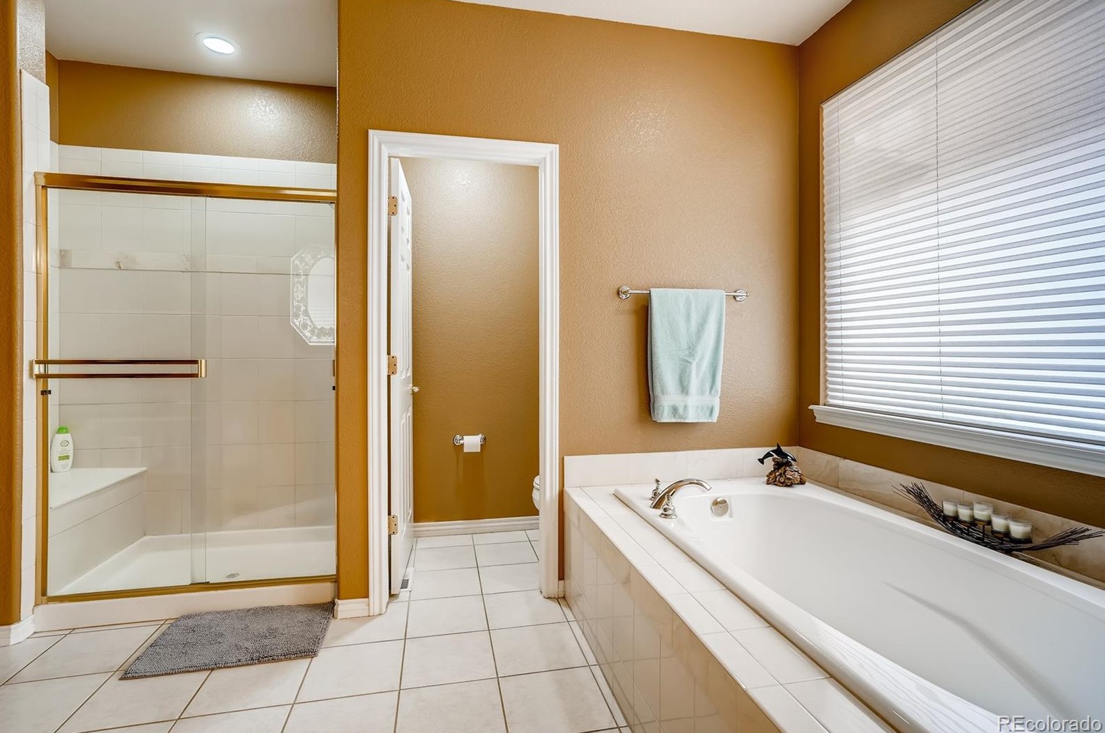 6816 Raspberry Run, Littleton CO 80125-8306 exterior