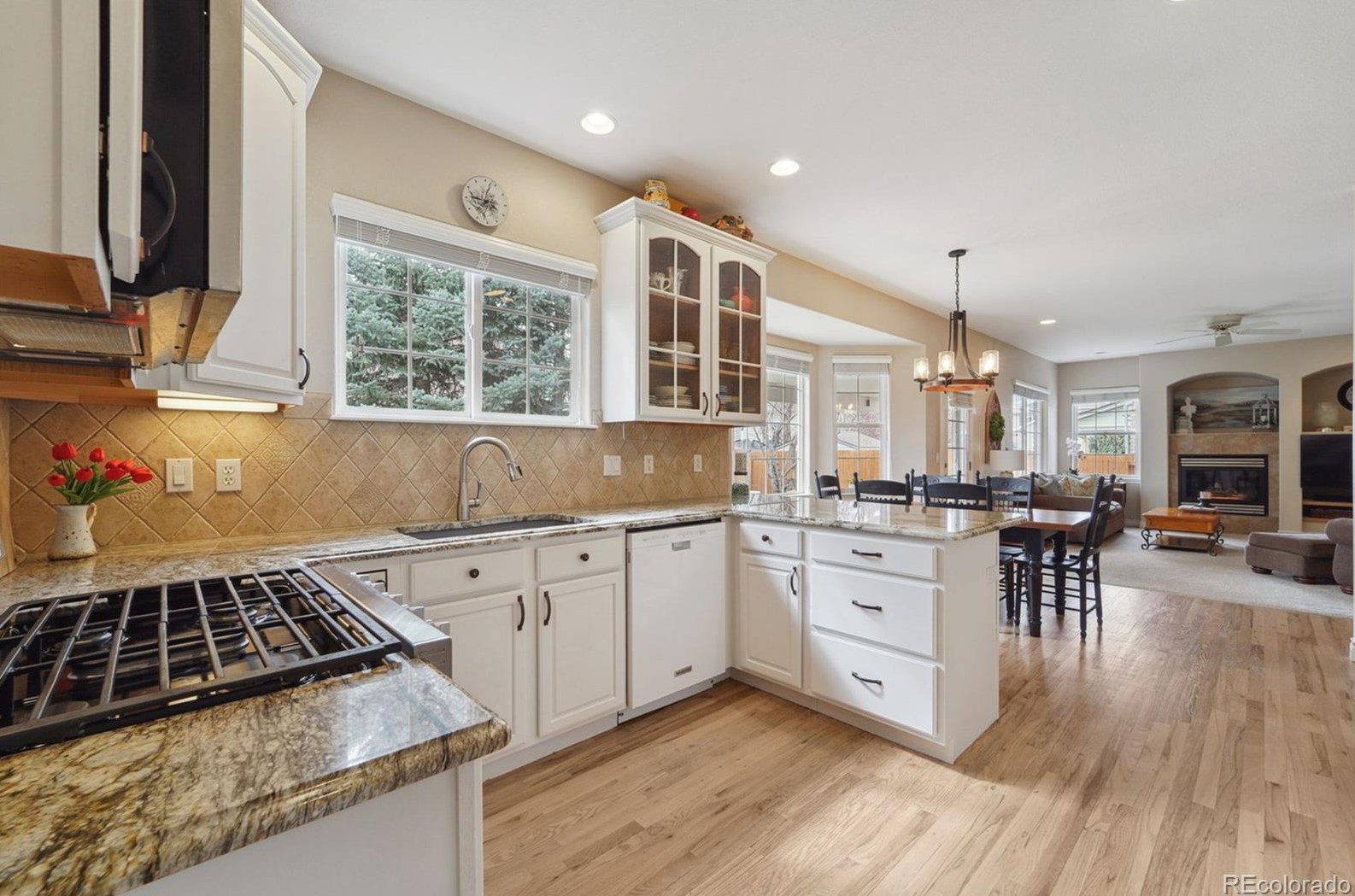 2071 Condor Ct, Longmont, CO 80503-7959