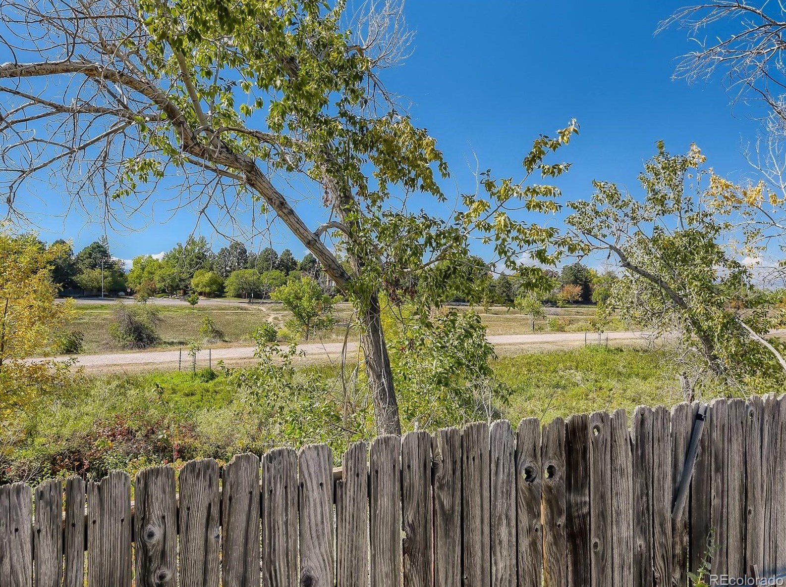 7851 Windermere Cir, Littleton CO 80120-4467 exterior