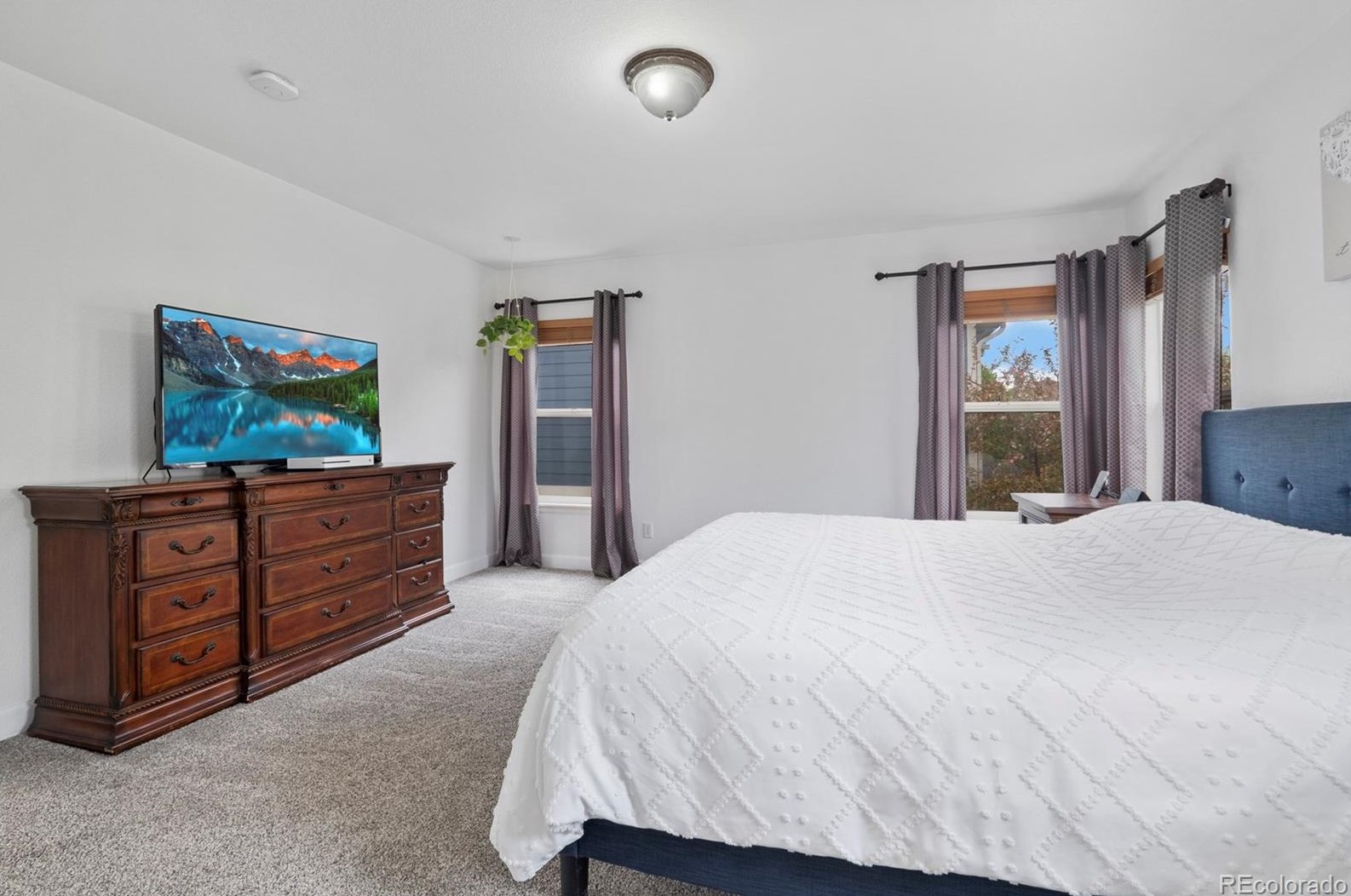 10557 Jaguar Dr, Littleton CO  80124-5200 exterior