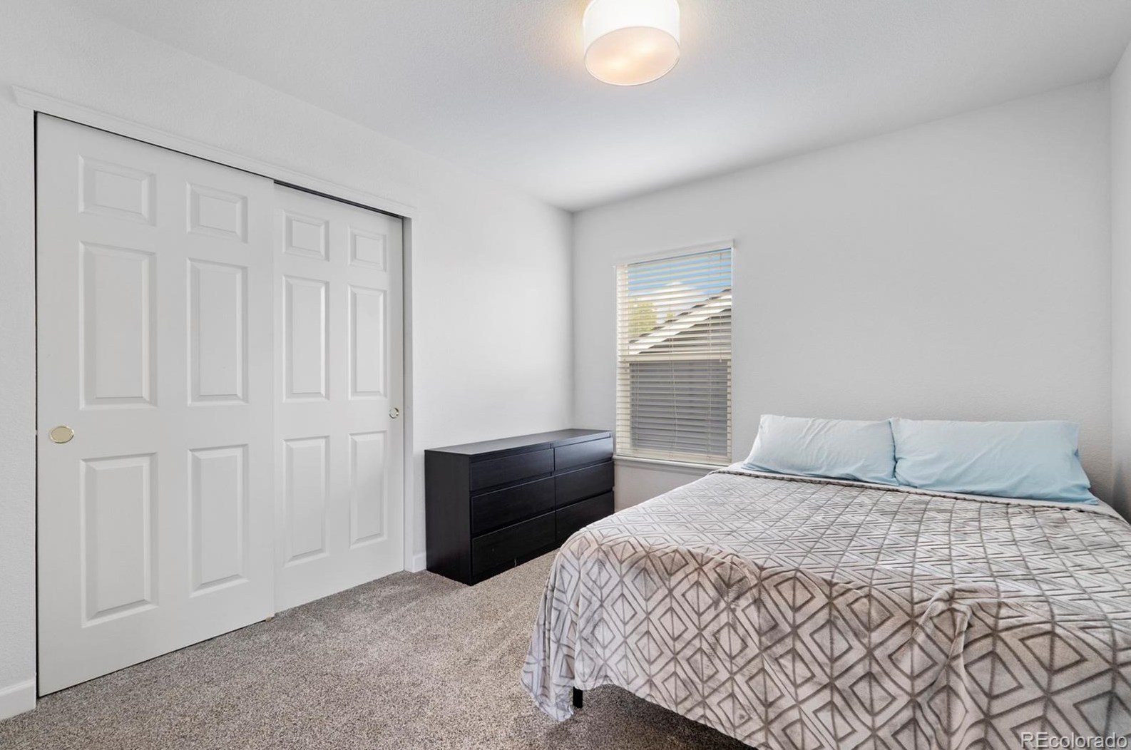 10557 Jaguar Dr, Littleton CO  80124-5200 exterior