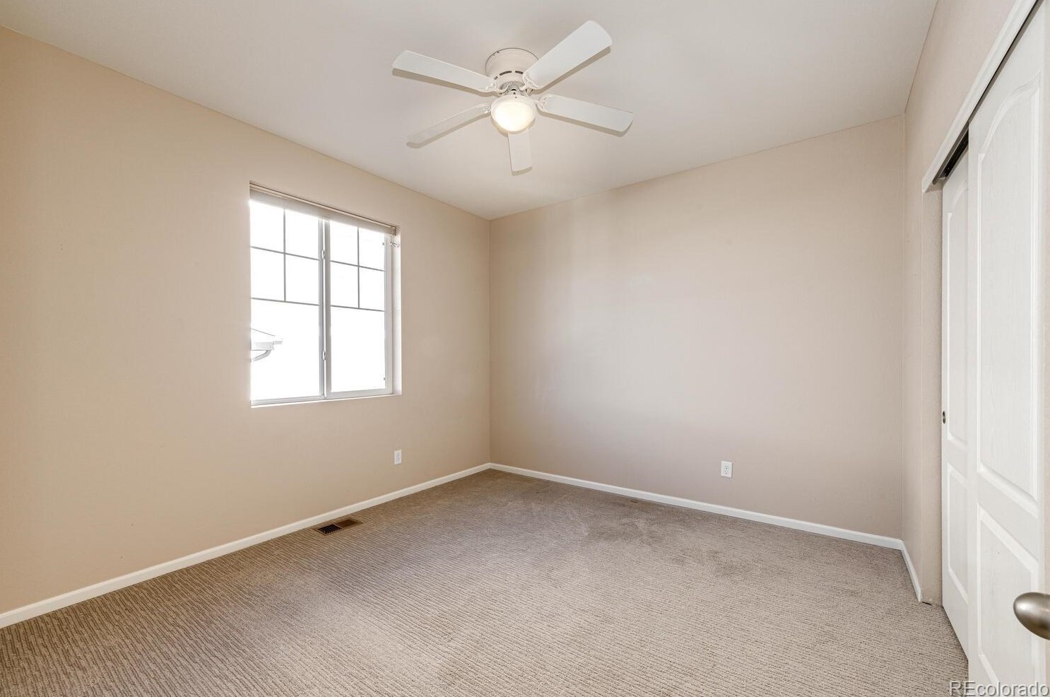 3974 Starry Night Loop, Castle Rock CO  80109-3734 exterior