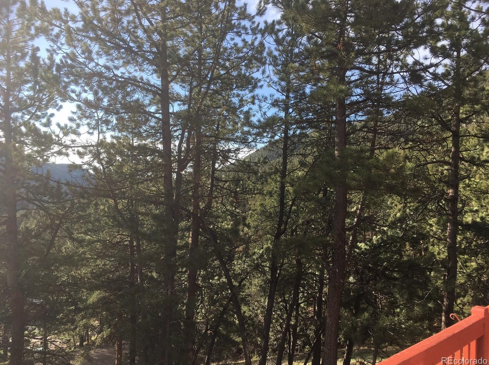 12053 Geronimo Trail, Conifer, CO 80433