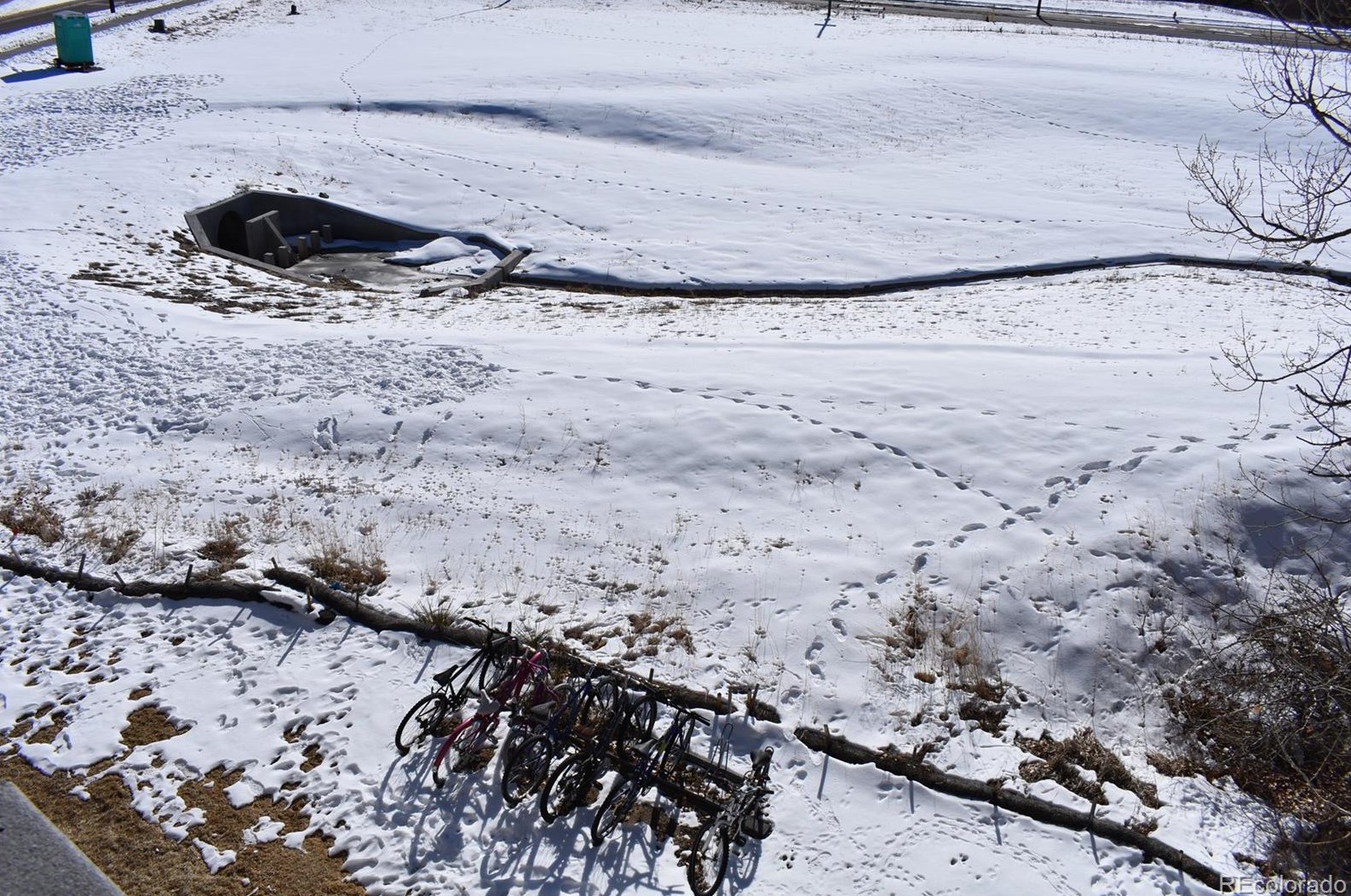 1289 Gilbert St, Castle Rock CO  80104-2328 exterior