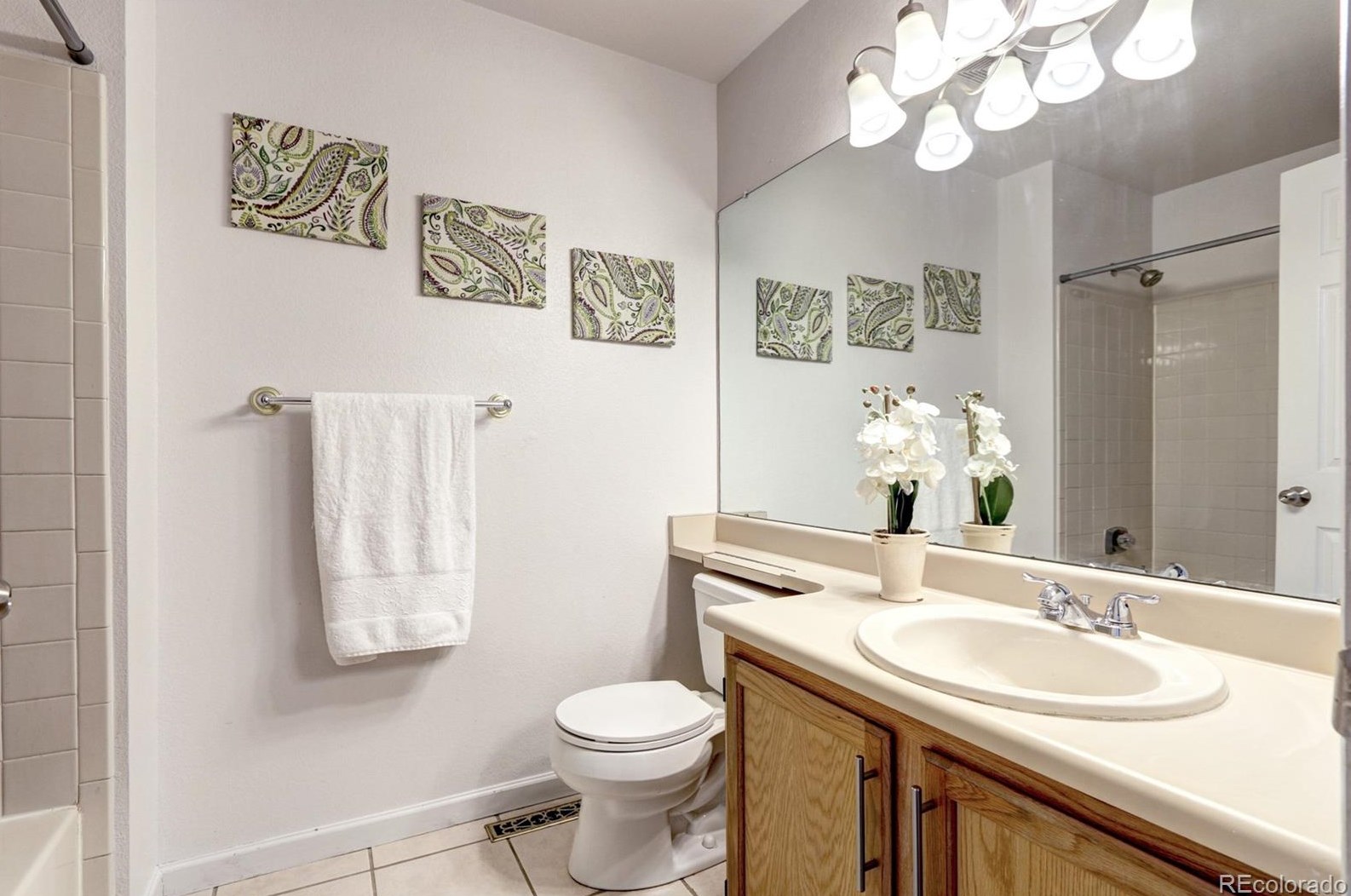 711 White Cloud Dr, Littleton CO 80126-2407 exterior