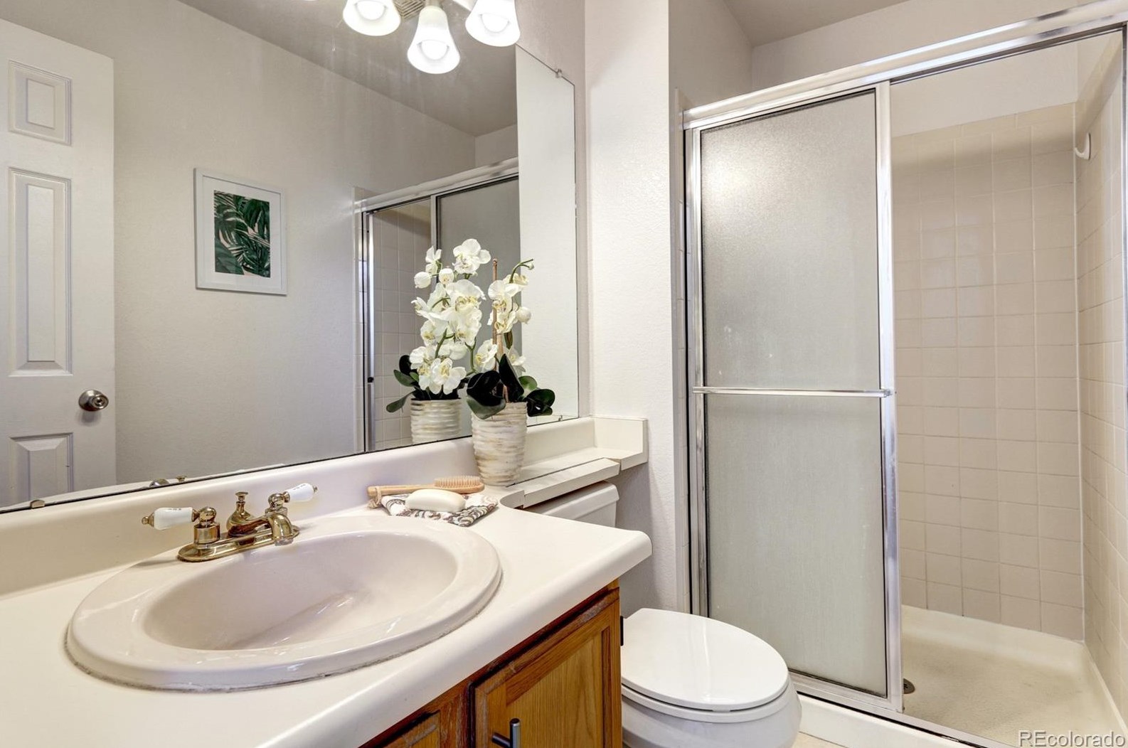 711 White Cloud Dr, Littleton CO 80126-2407 exterior