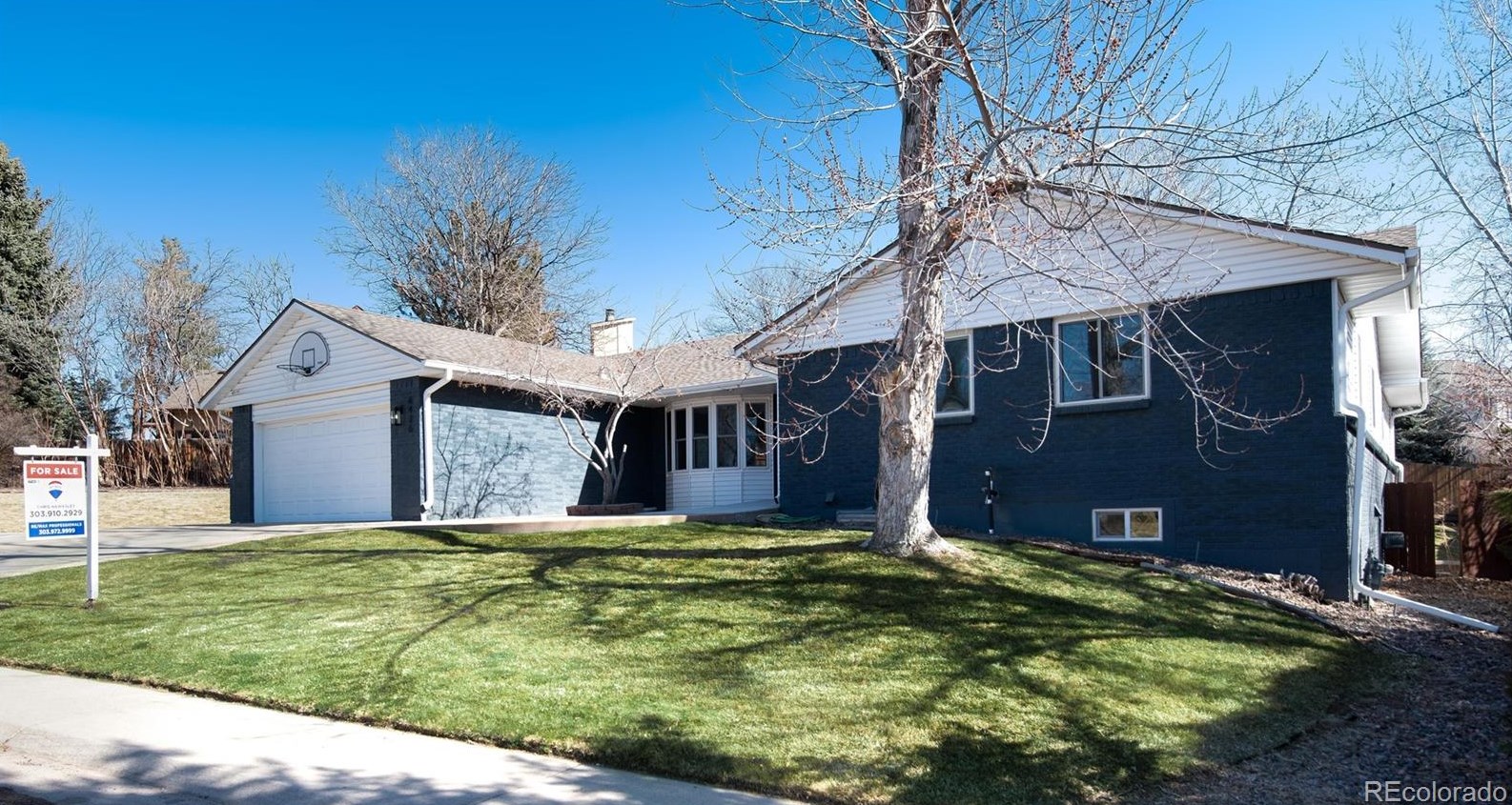 6426 Saulsbury St, Littleton CO  80123-3613 exterior