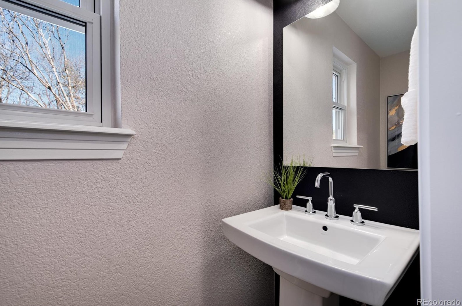 6426 Saulsbury St, Littleton CO  80123-3613 exterior