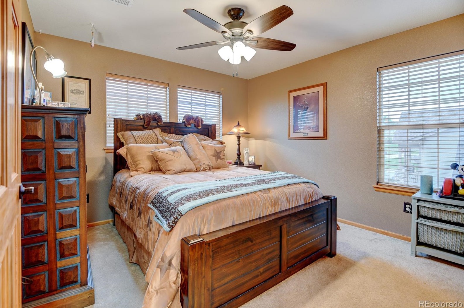 870 Halfmoon Dr, Castle Rock CO  80104-9612 exterior