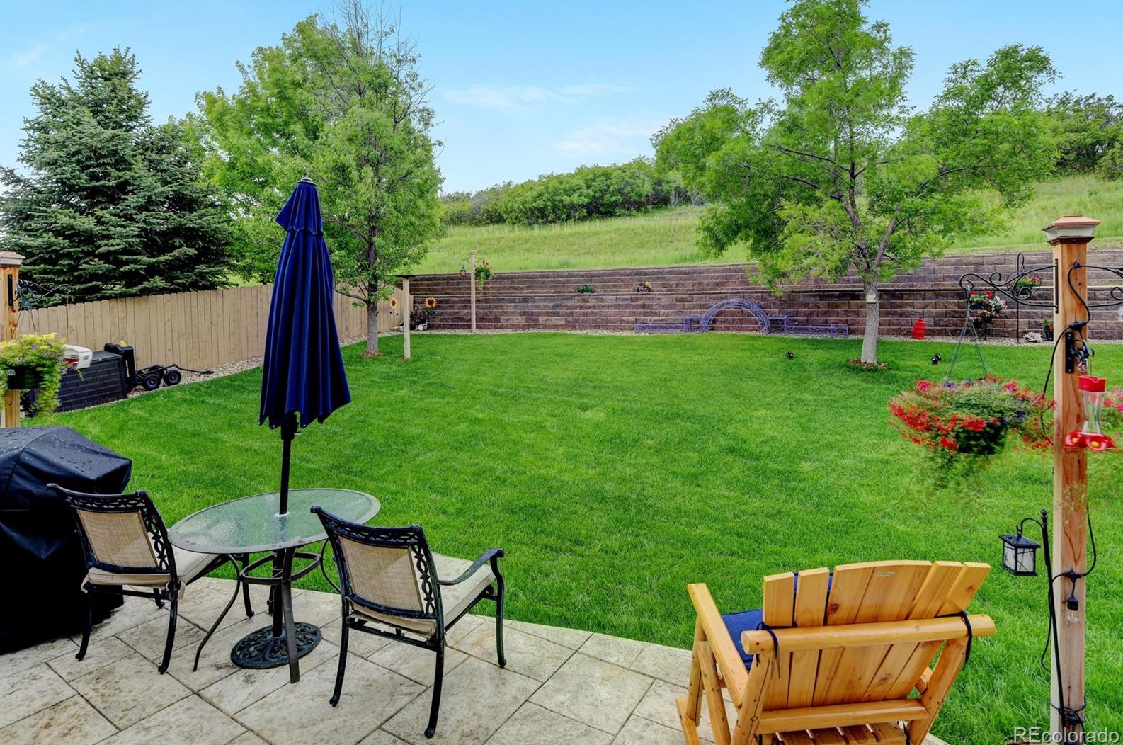 870 Halfmoon Dr, Castle Rock CO  80104-9612 exterior