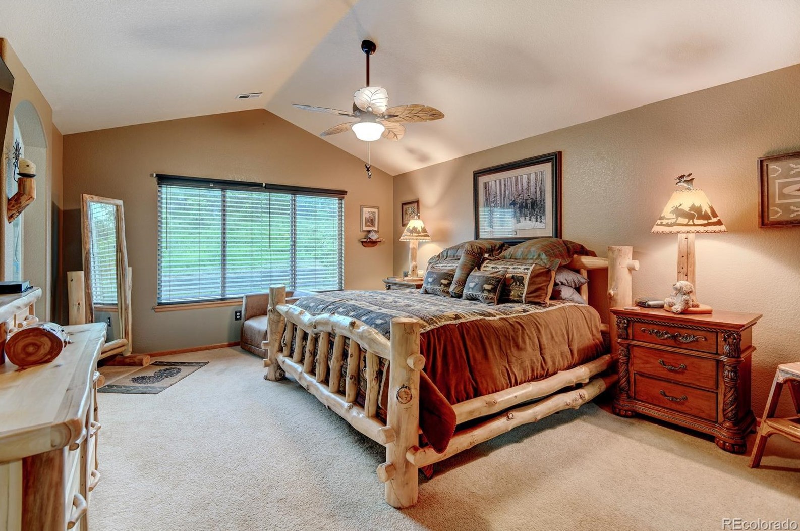 870 Halfmoon Dr, Castle Rock CO  80104-9612 exterior