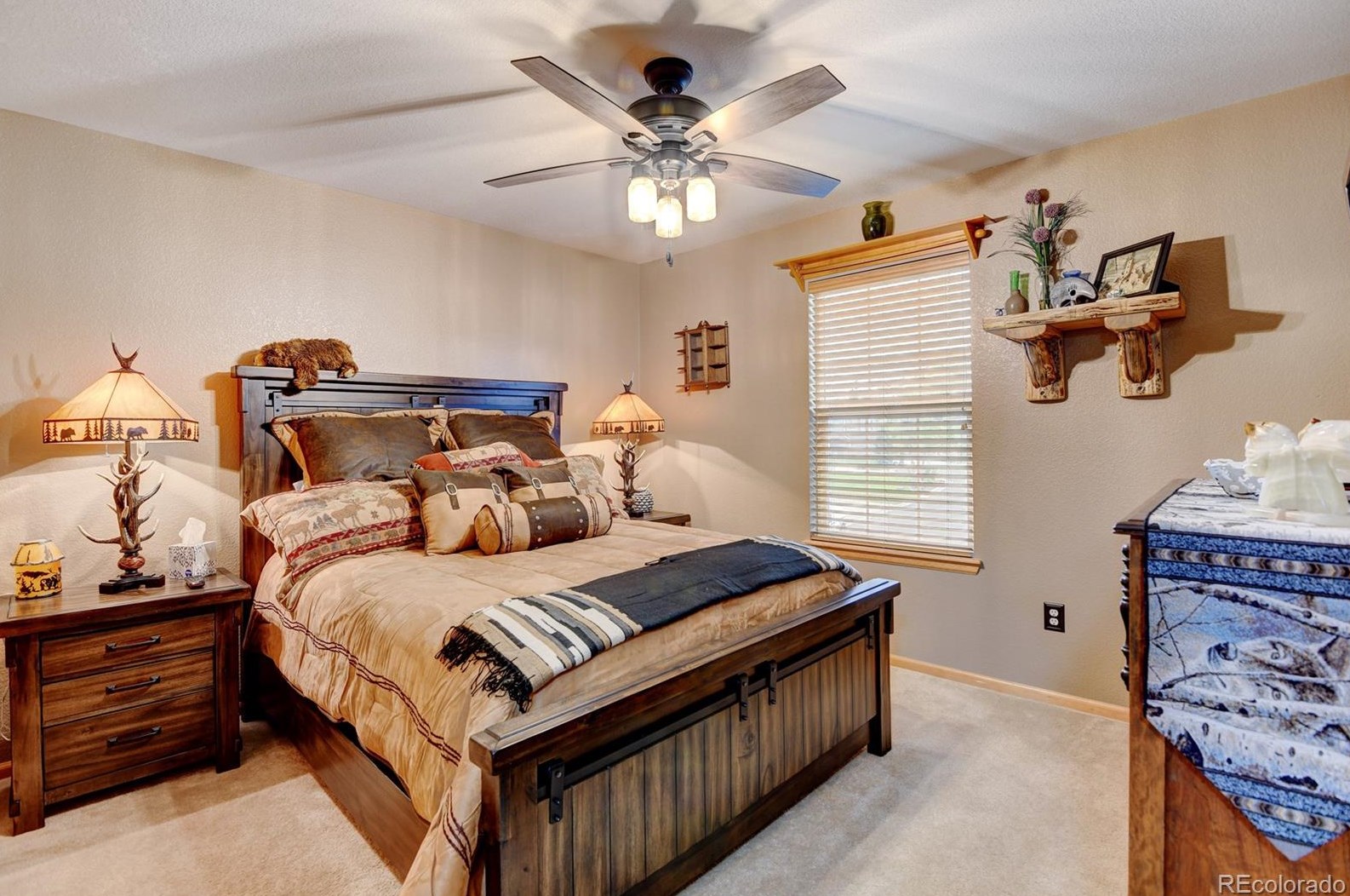 870 Halfmoon Dr, Castle Rock CO  80104-9612 exterior