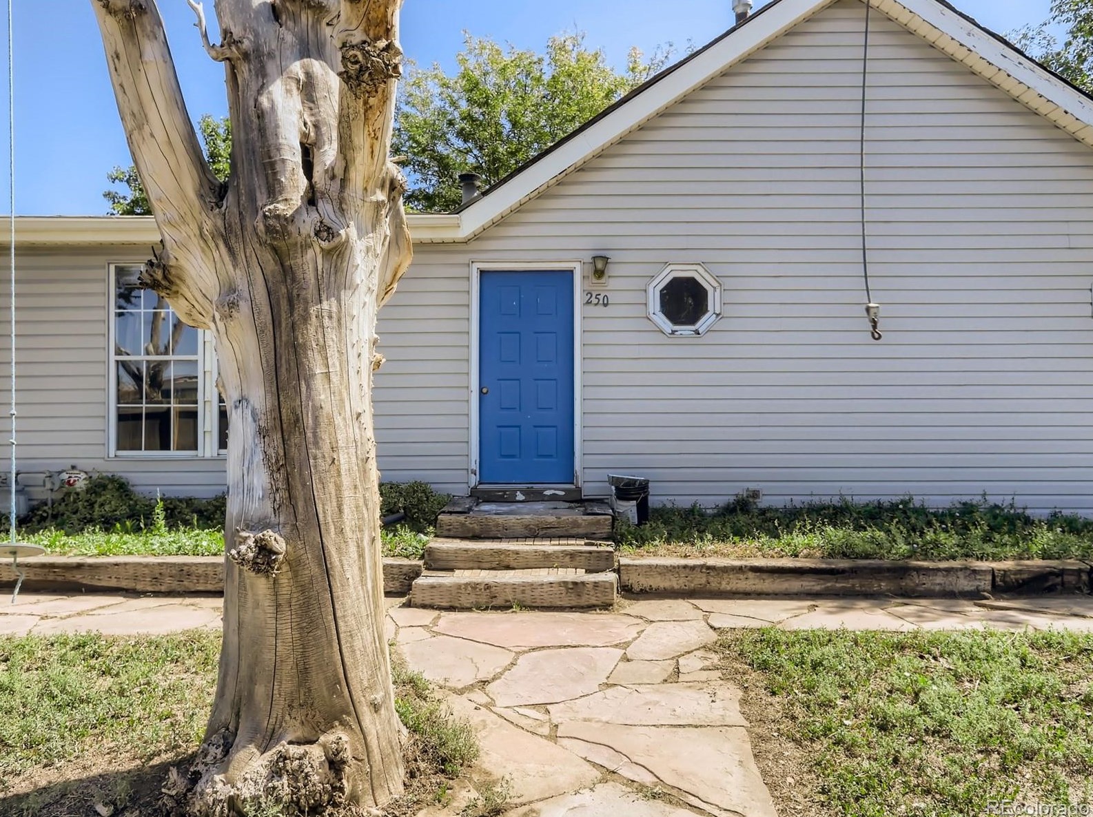 250 Dunmire St, Longmont, CO 80530-8044