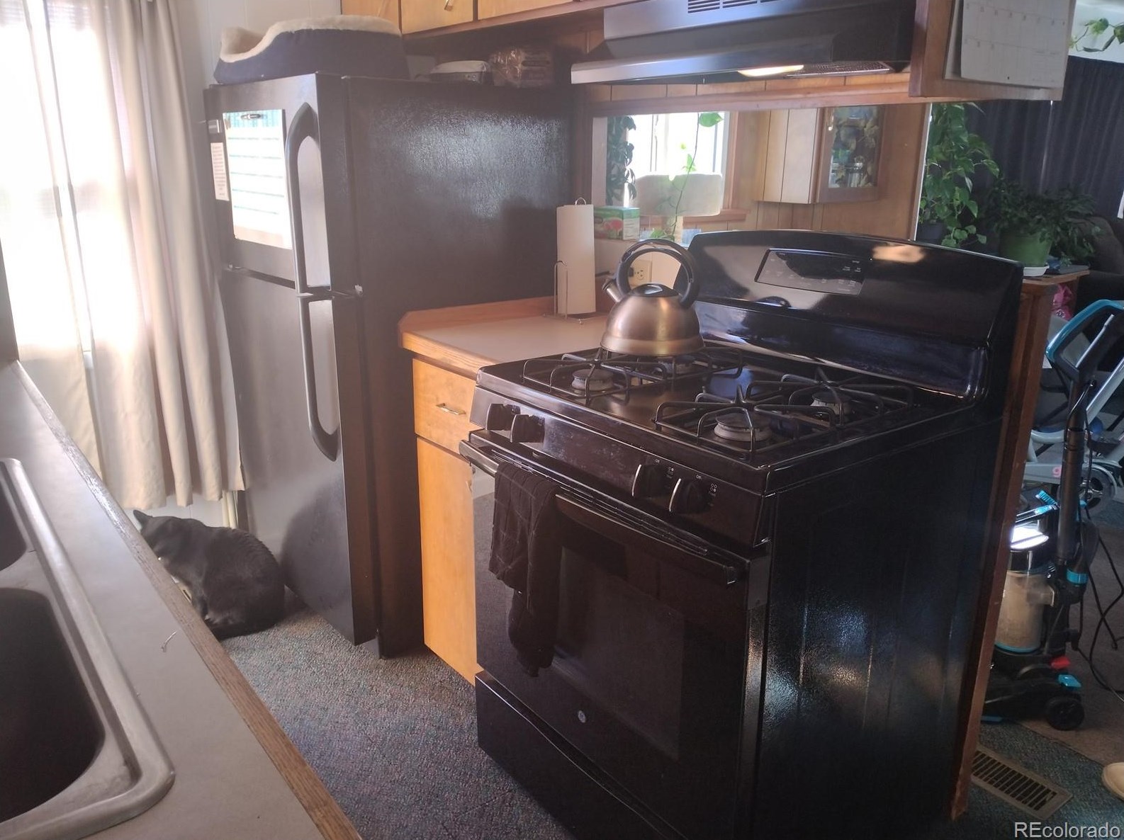 625 Vine St, Salida, CO 81201