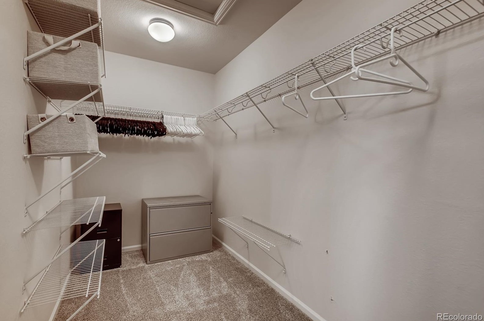 2521 Hillcroft Ln, Castle Rock CO  80104 exterior