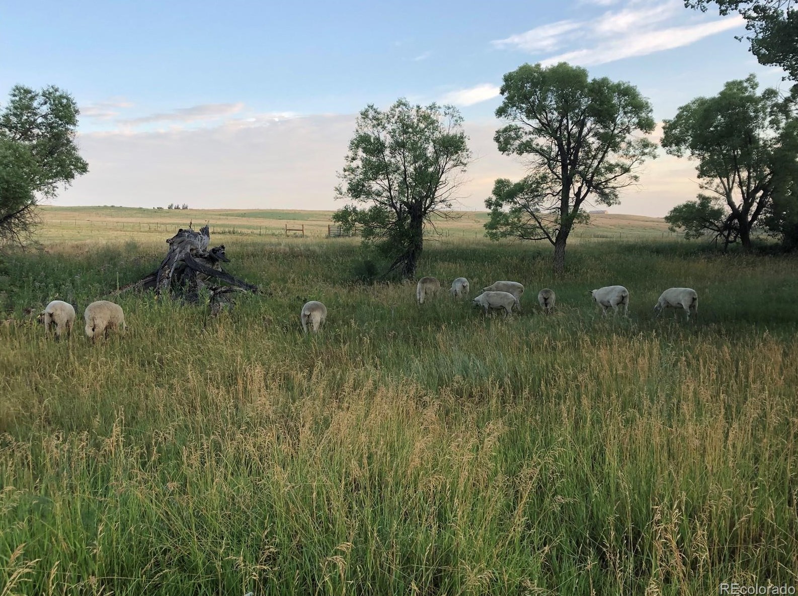 50180 E 64th Ave, Bennett, CO 80102