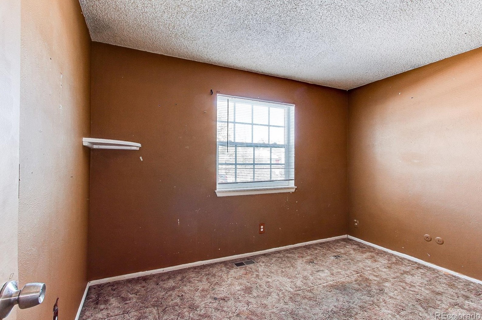 8696 86 Cir, Arvada CO  80005-5859 exterior