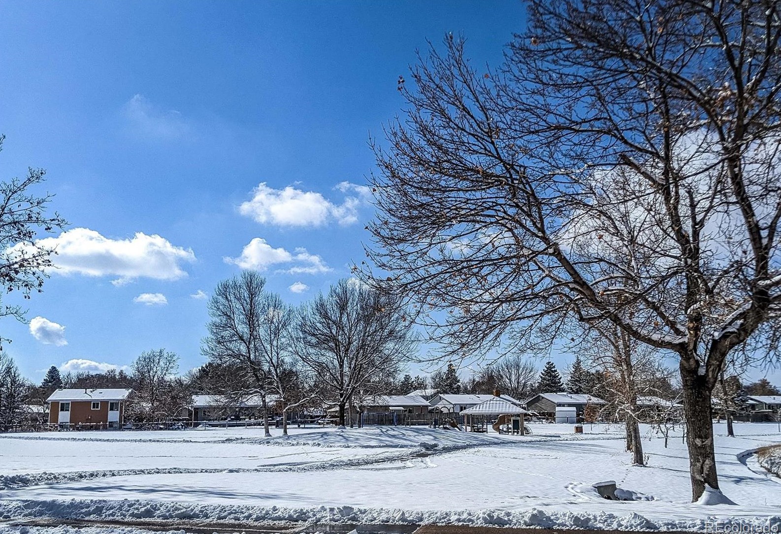 8696 86 Cir, Arvada CO  80005-5859 exterior
