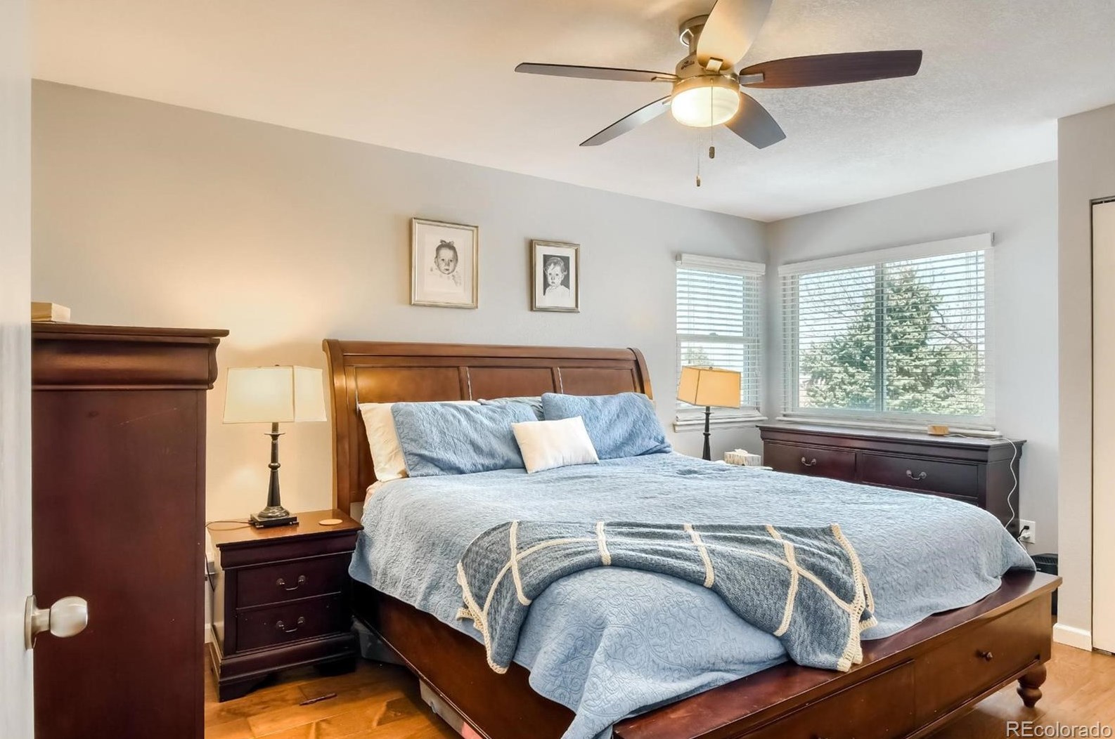 501 Snowy Owl Pl, Littleton CO 80126-2226 exterior