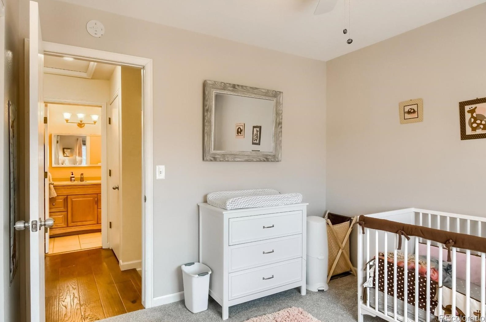 501 Snowy Owl Pl, Littleton CO 80126-2226 exterior