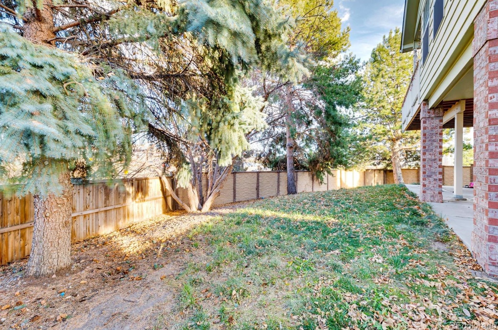 3135 Sugarbowl Ct, Castle Rock CO  80109-2814 exterior