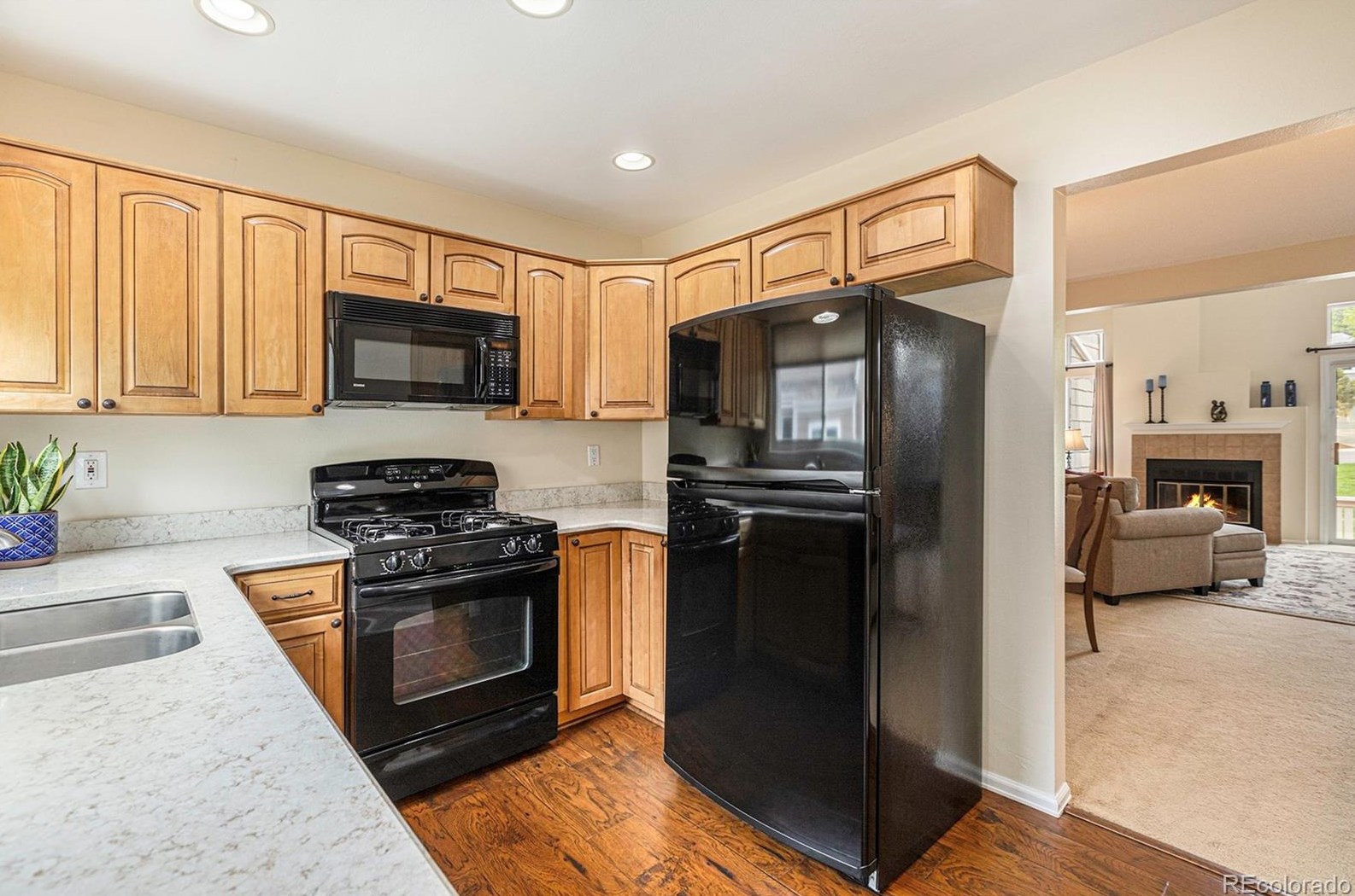 9012 Bear Mtn Dr, Littleton CO 80126-2296 exterior