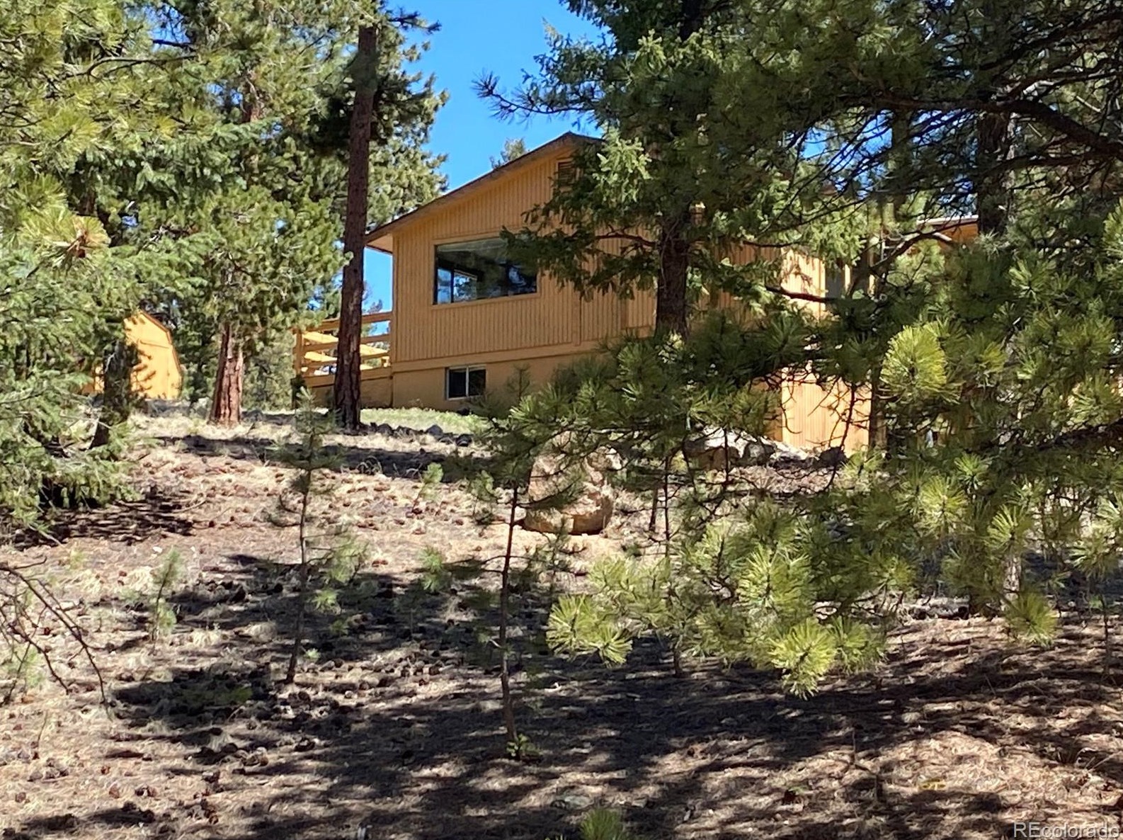 856 Gunsmoke Dr, Bailey, CO 80421-1013