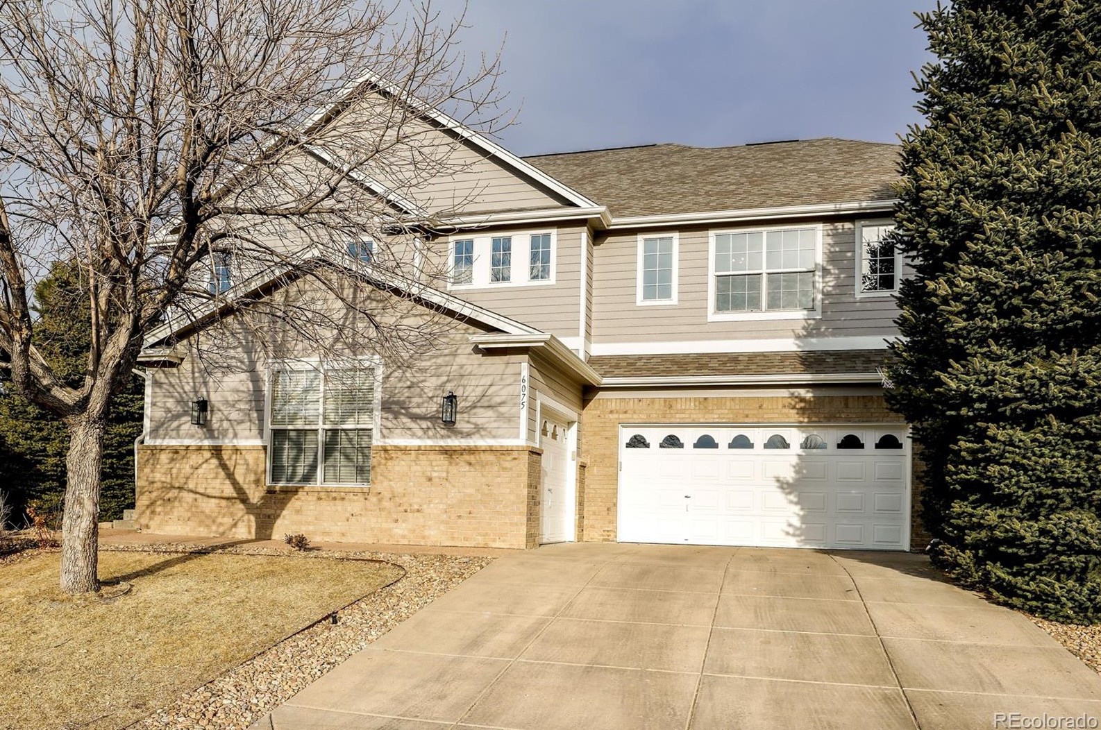 6075 Blue Terrace Pl, Castle Rock CO  80108-8152 exterior