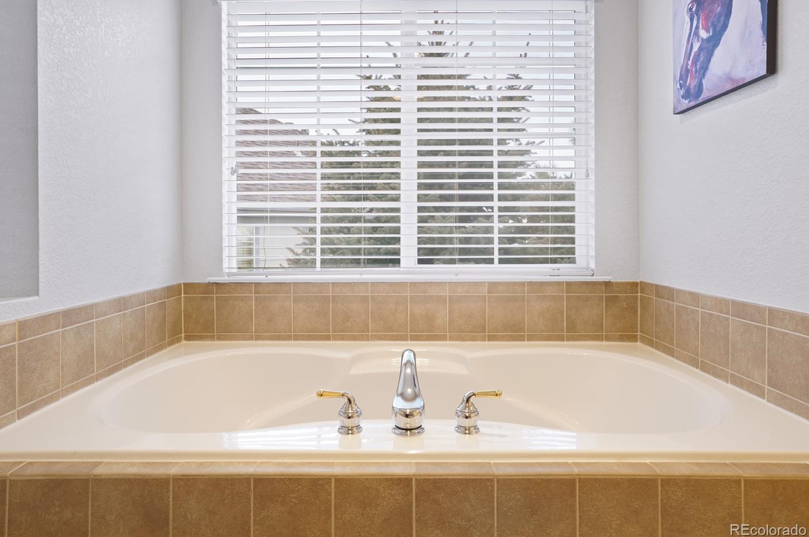 6075 Blue Terrace Pl, Castle Rock CO  80108-8152 exterior