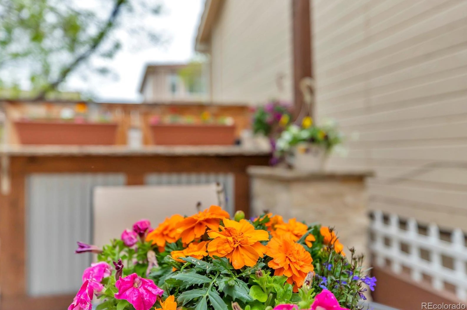 1271 Braewood Ave, Littleton CO  80129-5673 exterior