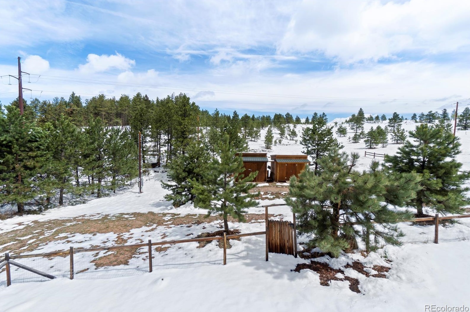 2866 Sunnywood Ave, Woodland Park CO 80863-9498 exterior